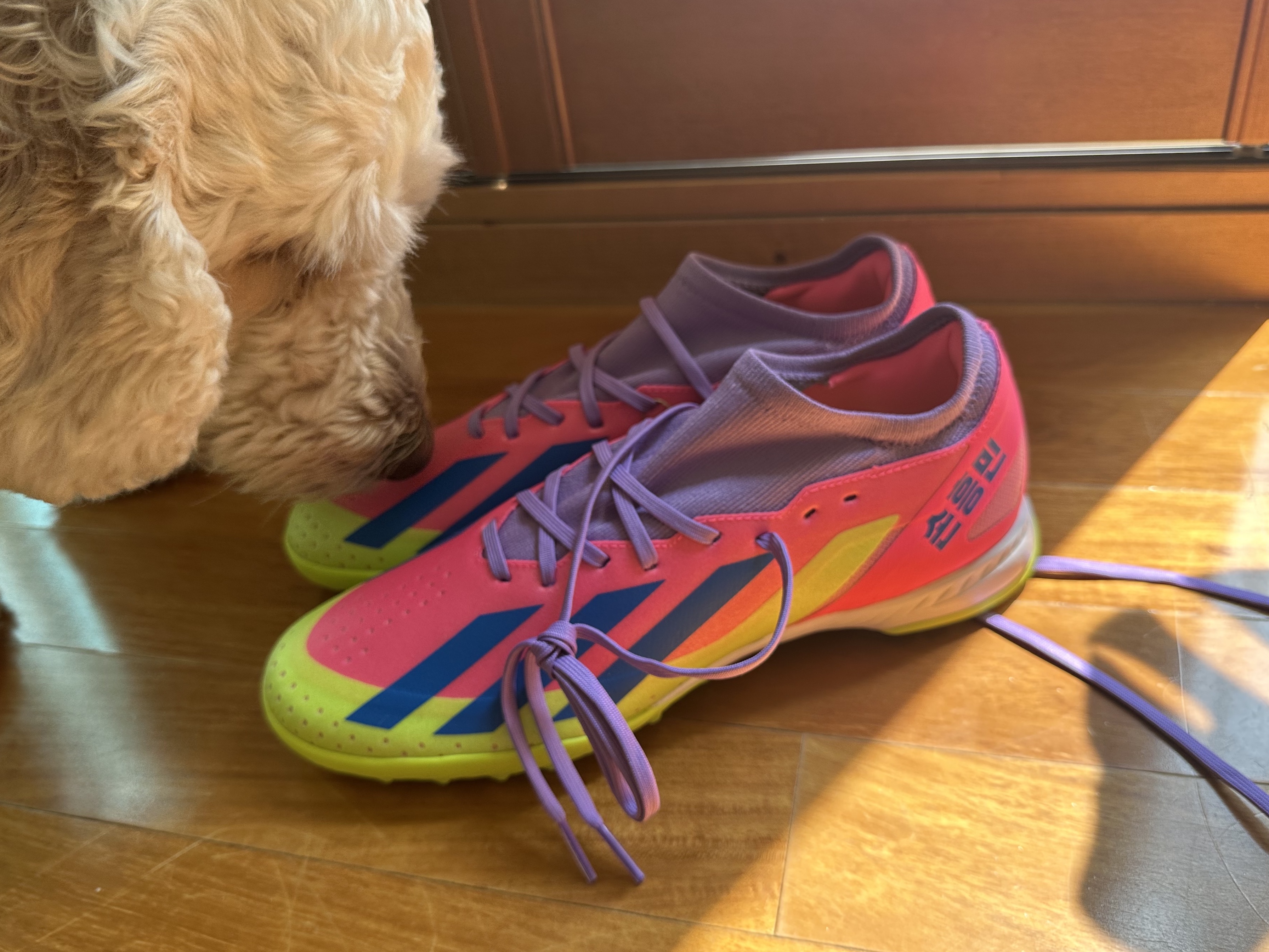 Adidas X Crazyfast HMS.3 TF J Lucid Lemon Lucid Pink 착용 스타일 - 1