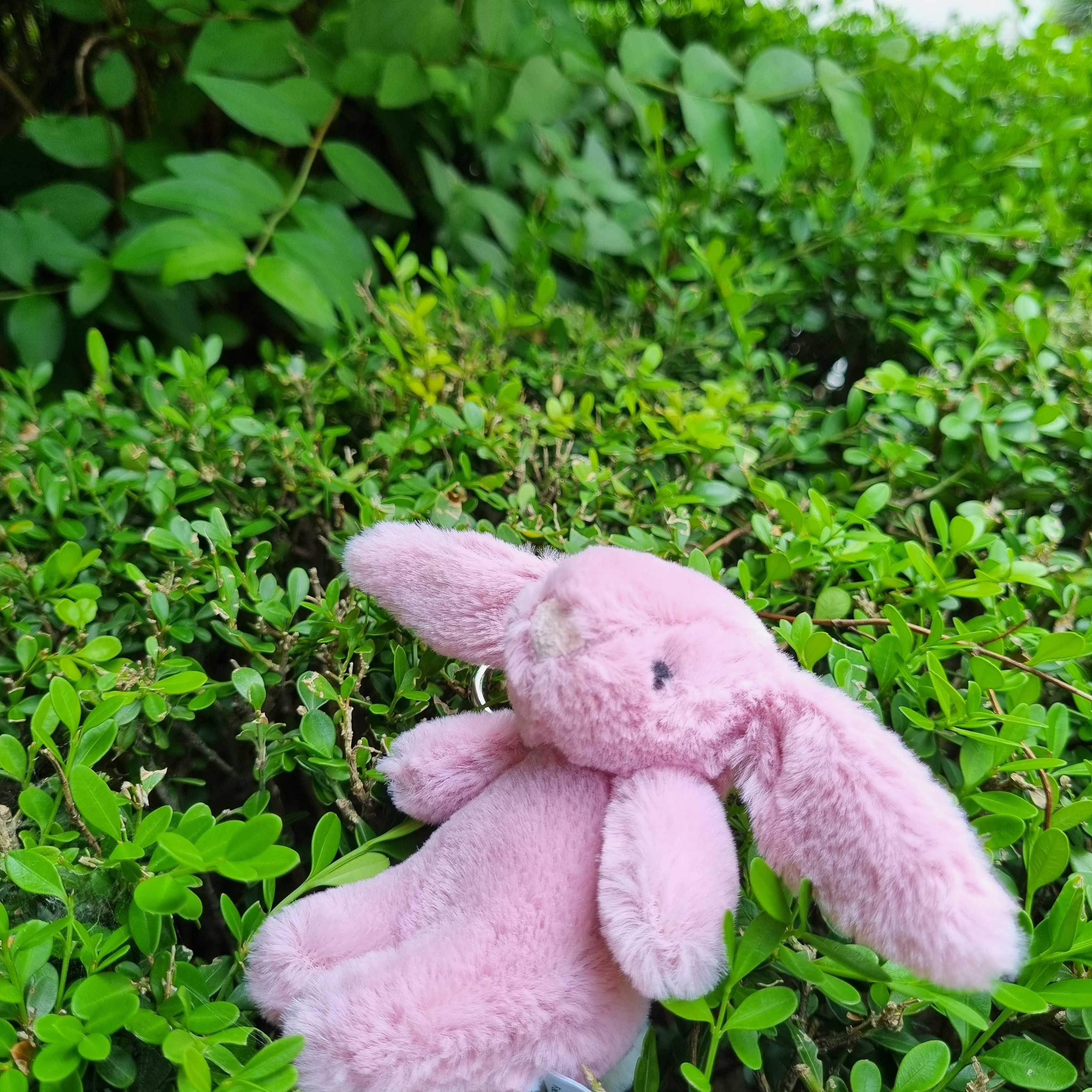 Jellycat Bashful Bunny Bag Charm Tulip 착용 스타일 - 1