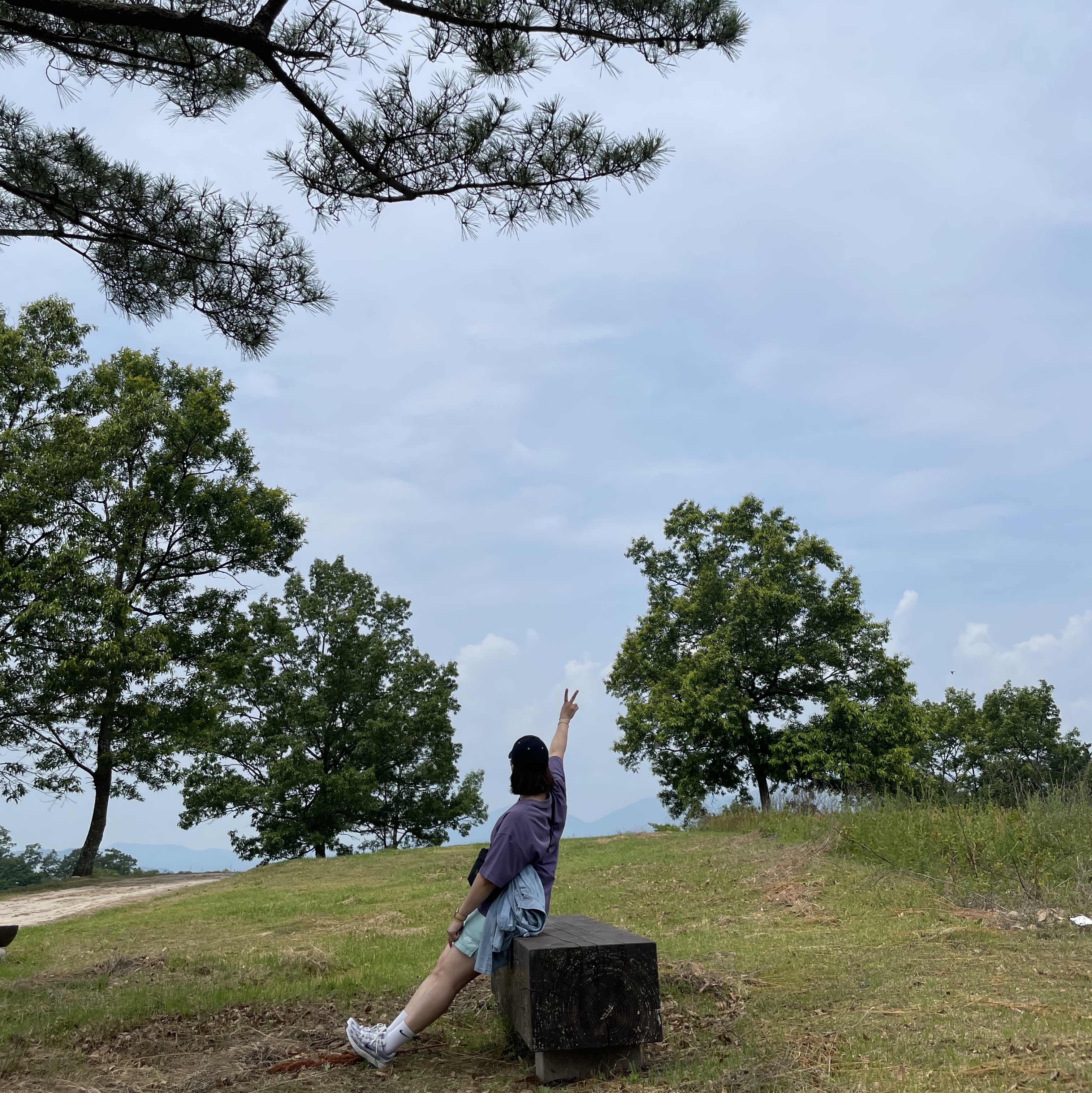Nike ACG LBR Lungs T-Shirt Canyon Purple - Asia, Nike NSW Woven Lined Flow Shorts Light Dew - Asia 착용 스타일
