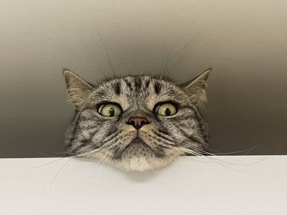 관심 유저 프로필 이미지