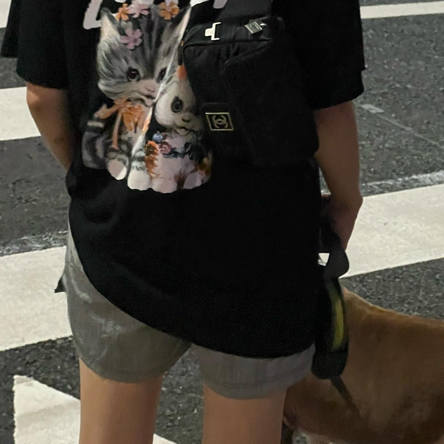 Stussy Kittens T-Shirt Black 착용 스타일