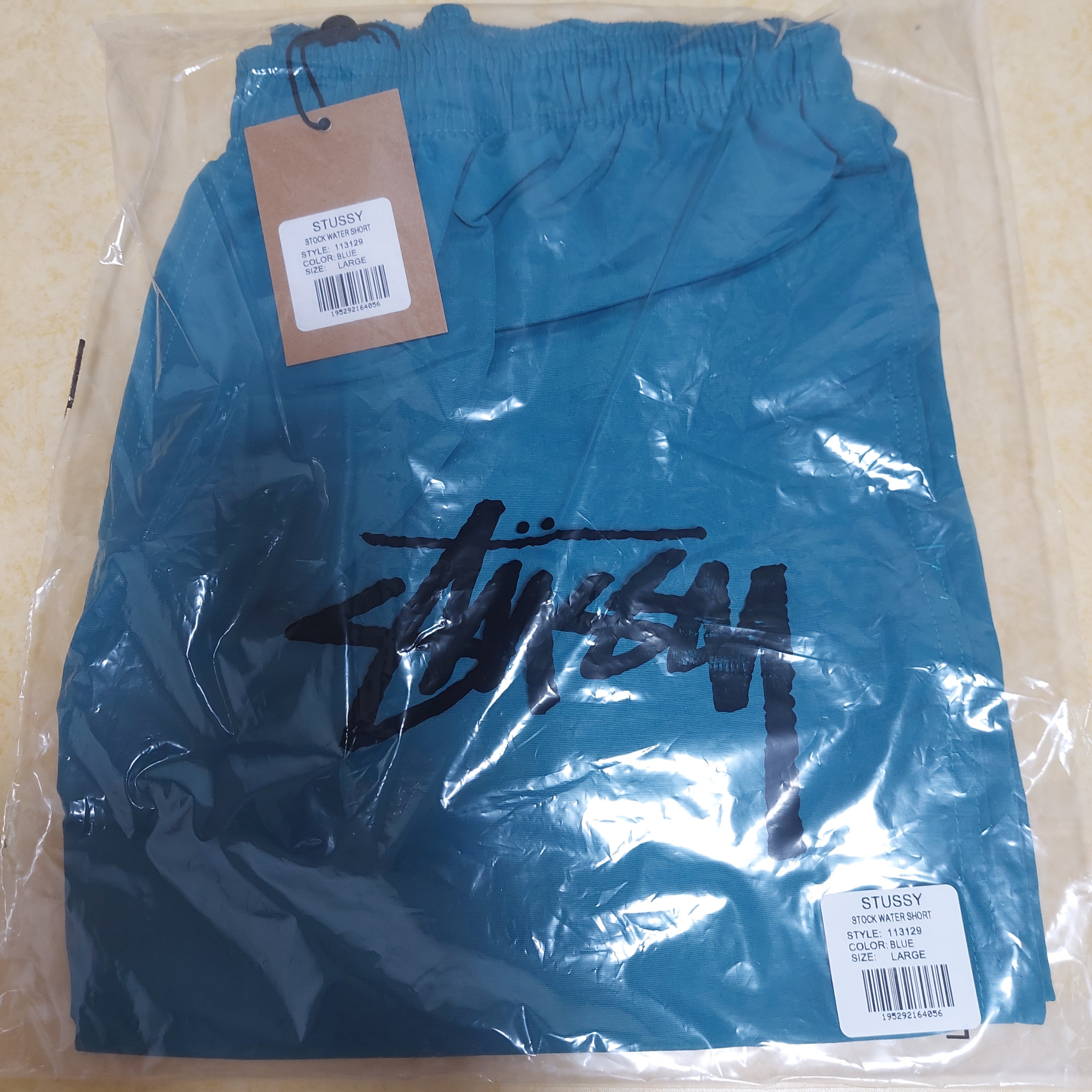 Stussy Stock Water Shorts Blue 착용 스타일