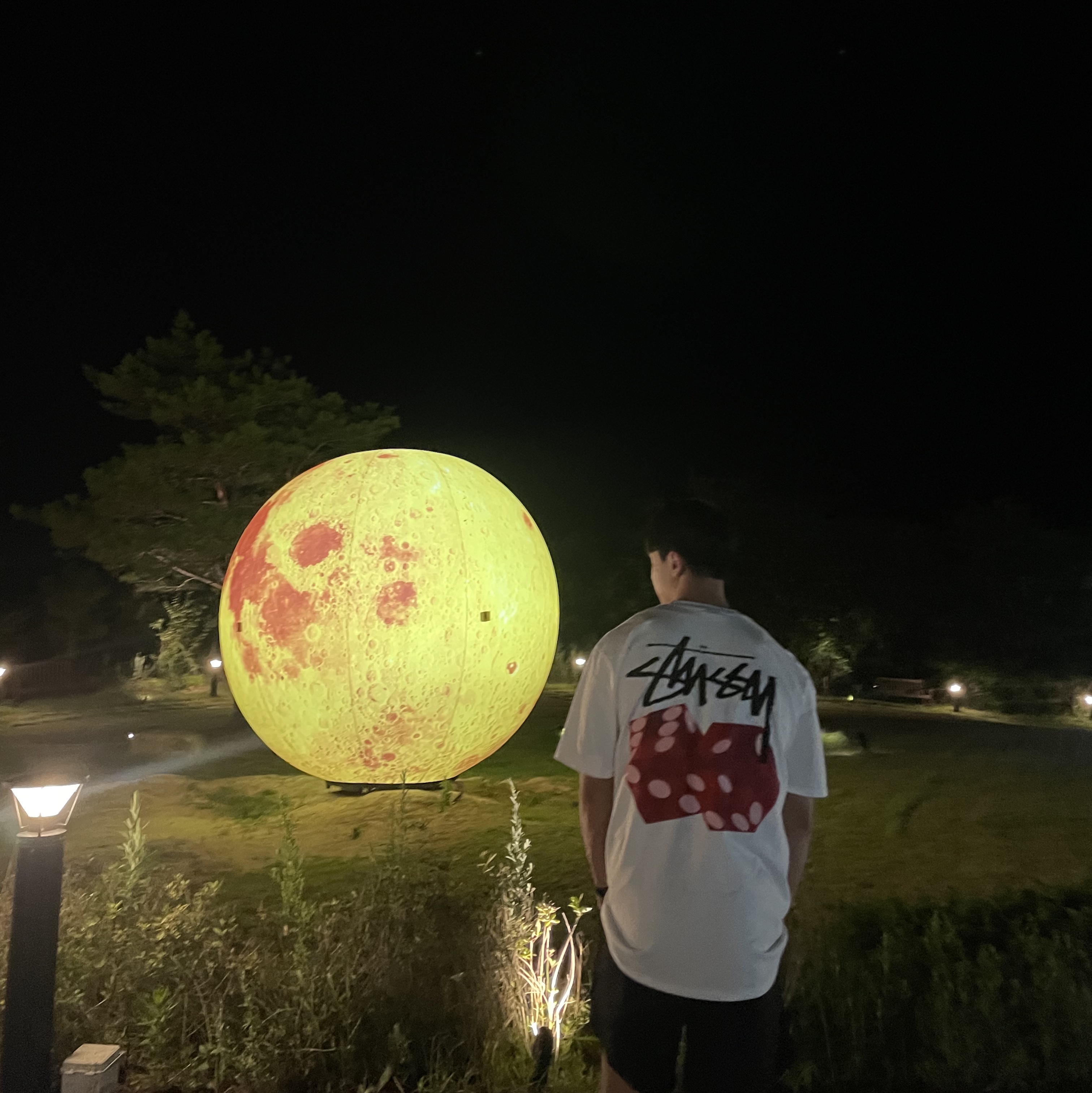 Stussy Diced Out T-Shirt White 착용 스타일 - 2