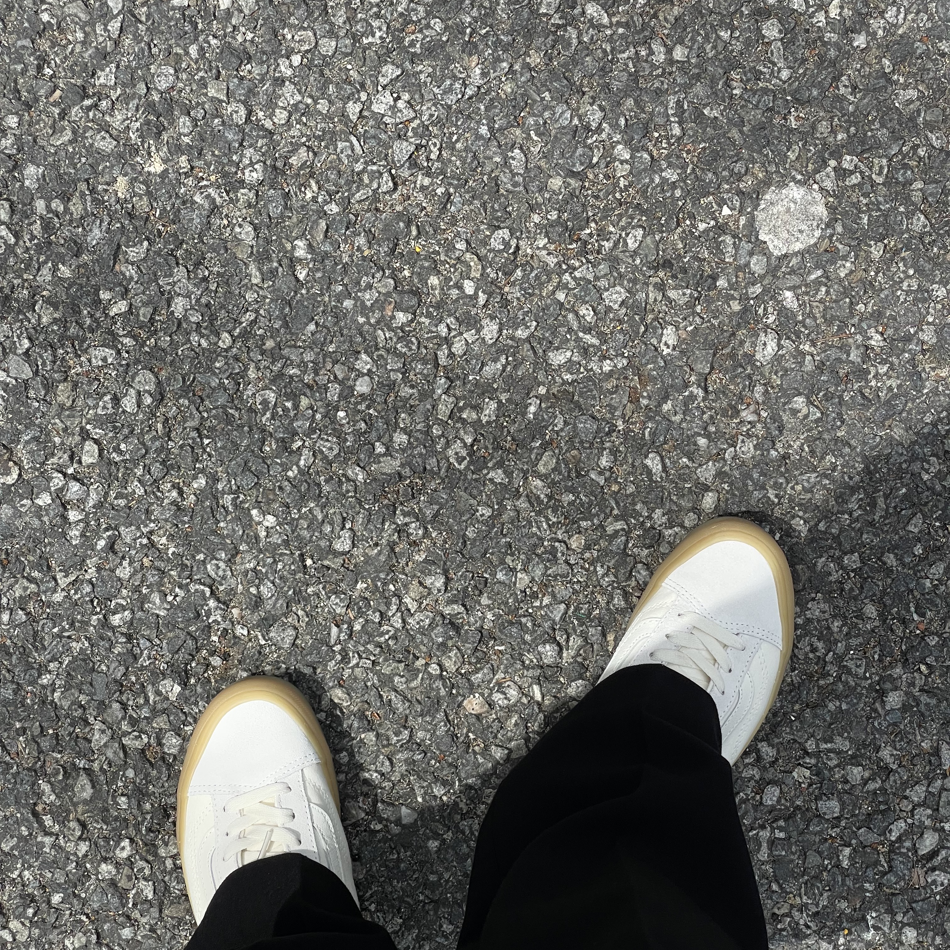 Vans Style 36 Cream White Gum 착용 스타일
