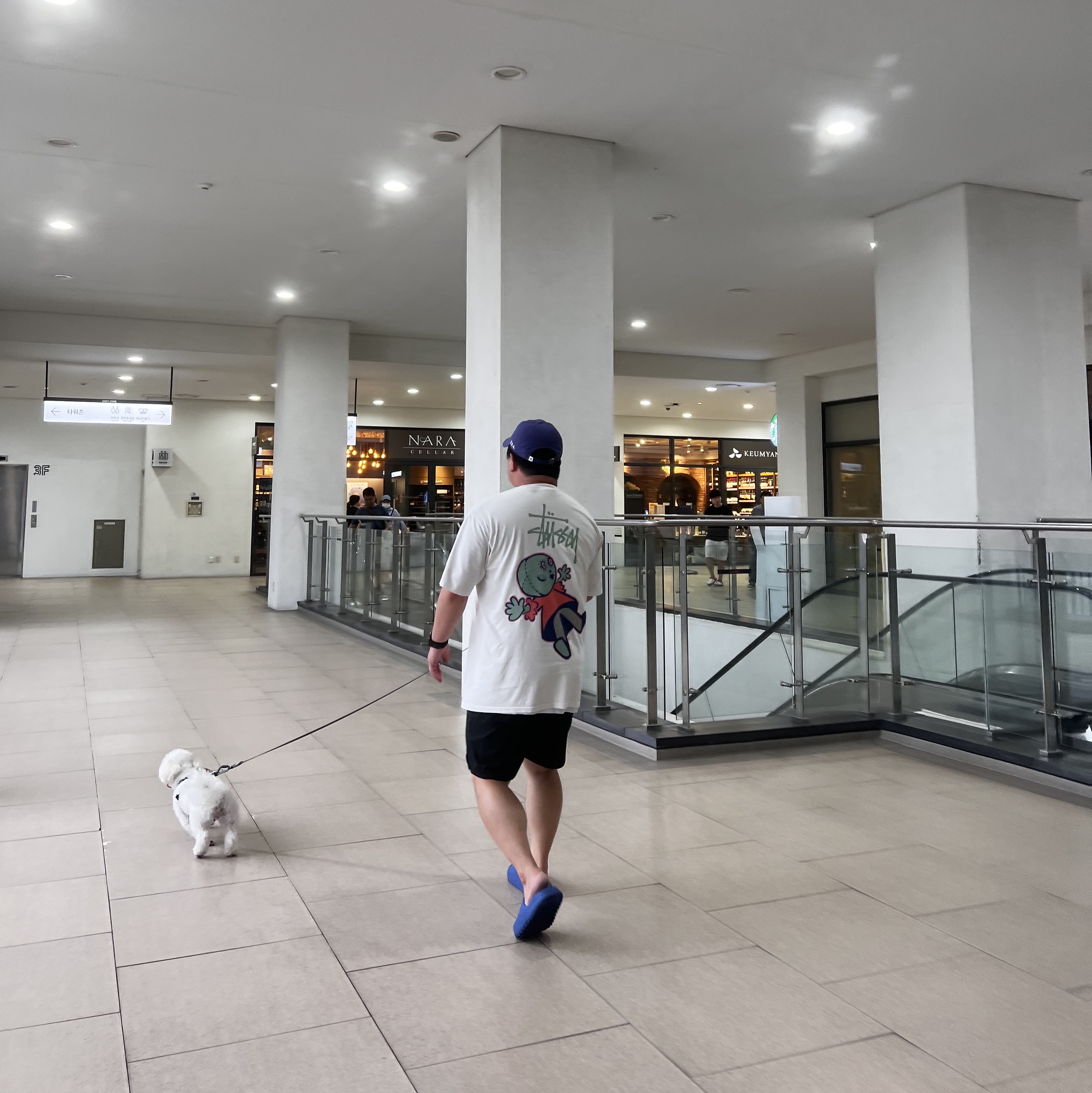Stussy Dollie Pigment Dyed T-Shirt Natural 착용 스타일