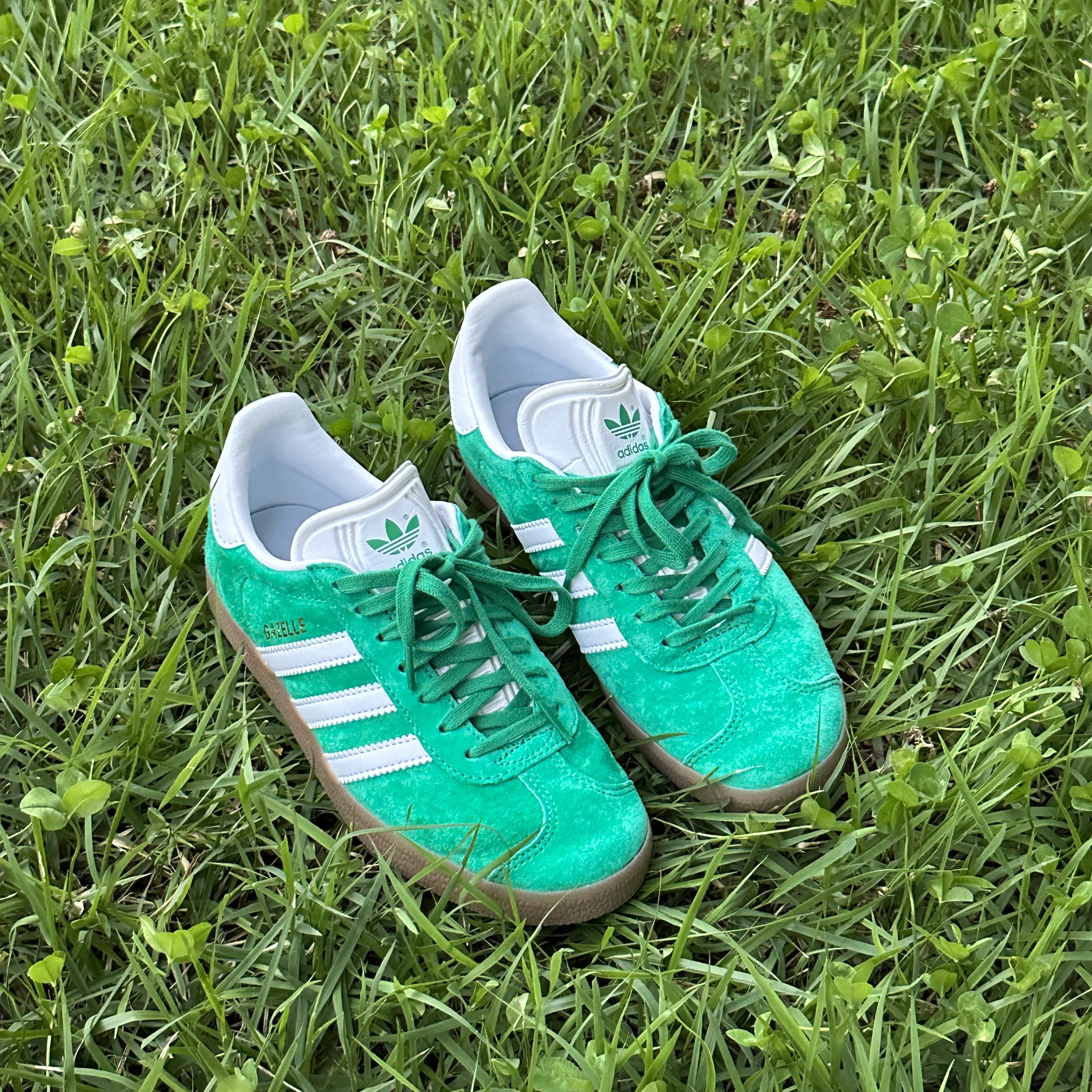 Adidas Gazelle Court Green Cloud White 착용 스타일