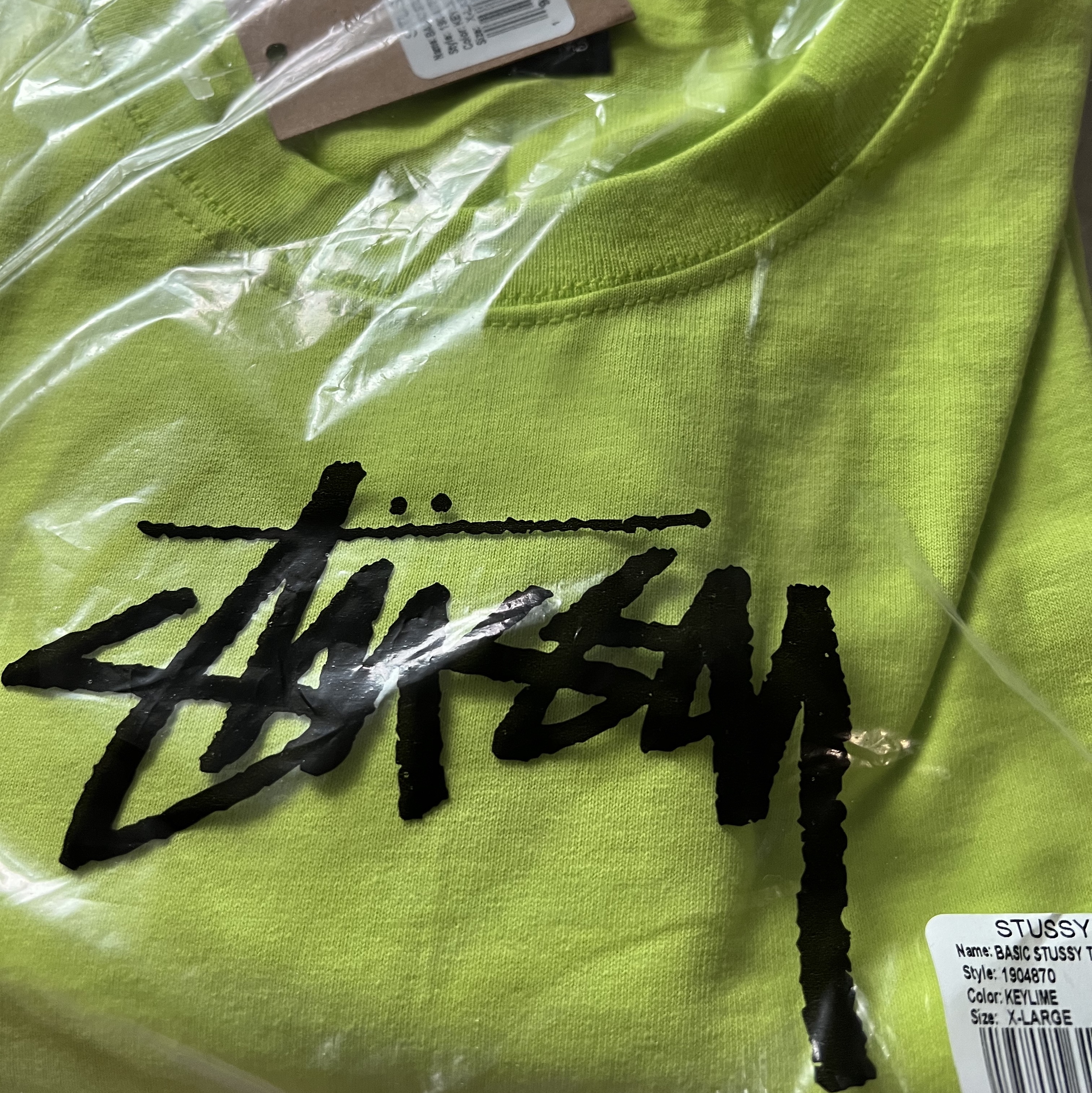 Stussy Basic Stussy T-Shirt Tea 2023 착용 스타일