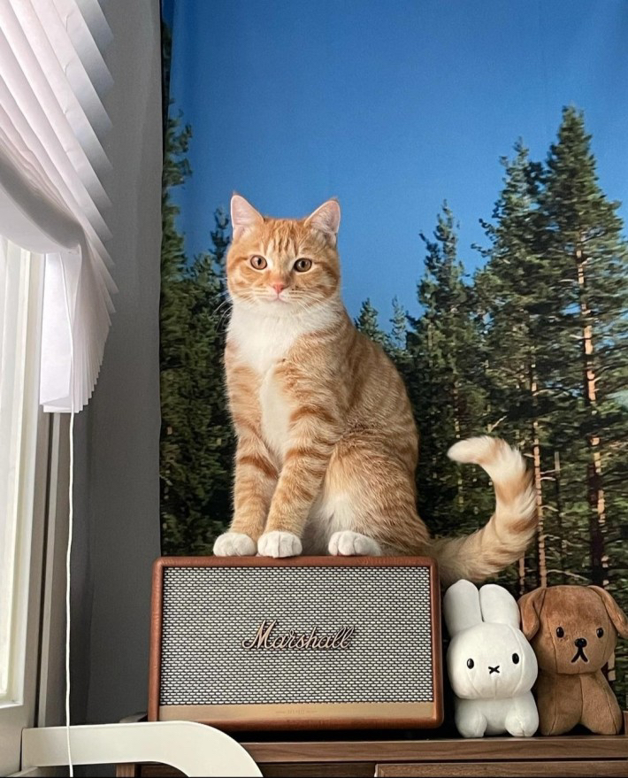 관심 유저 프로필 이미지