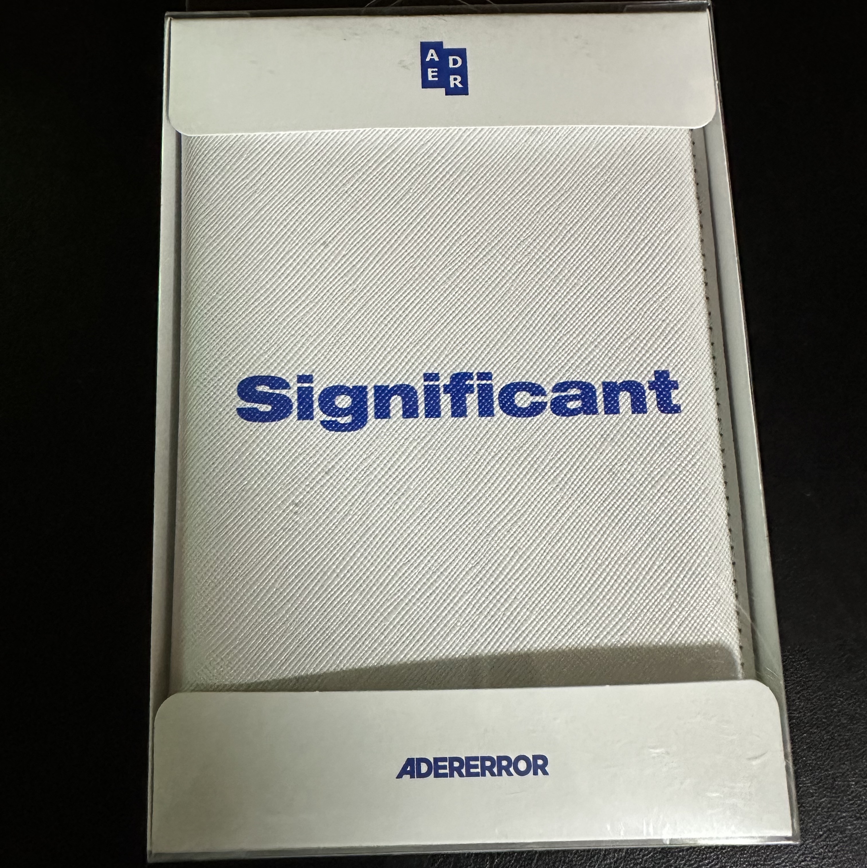 Ader Error Significant Passport Wallet White 착용 스타일