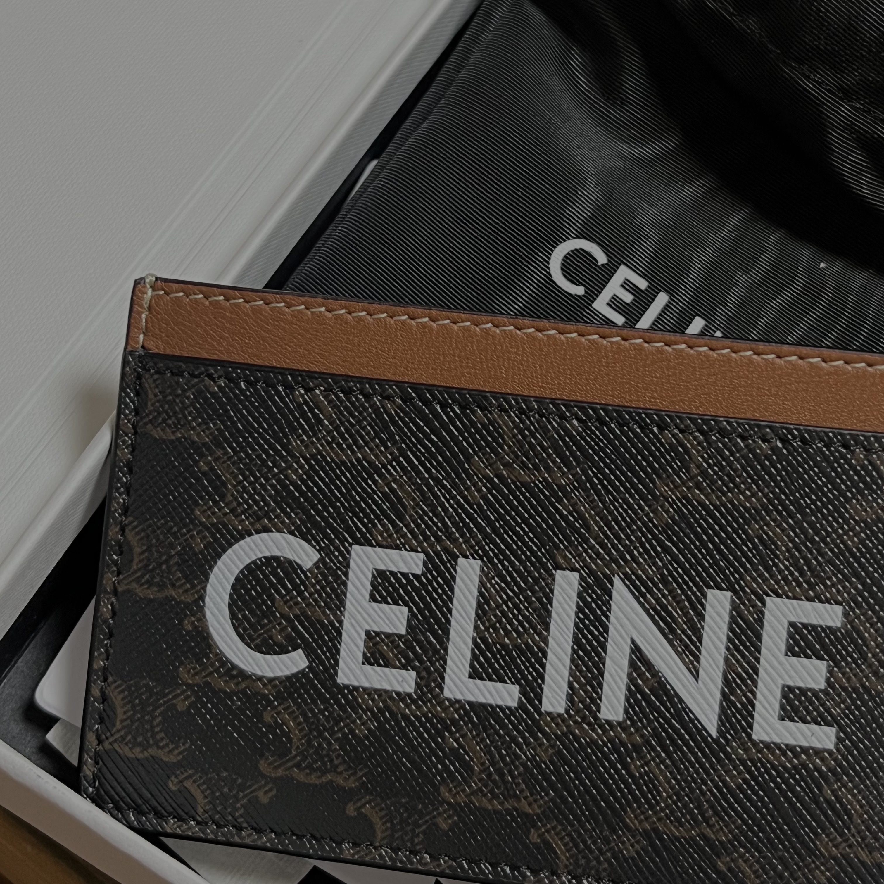 Celine Card Holder in Triomphe Canvas with Celine Print Tan 착용 스타일 - 2