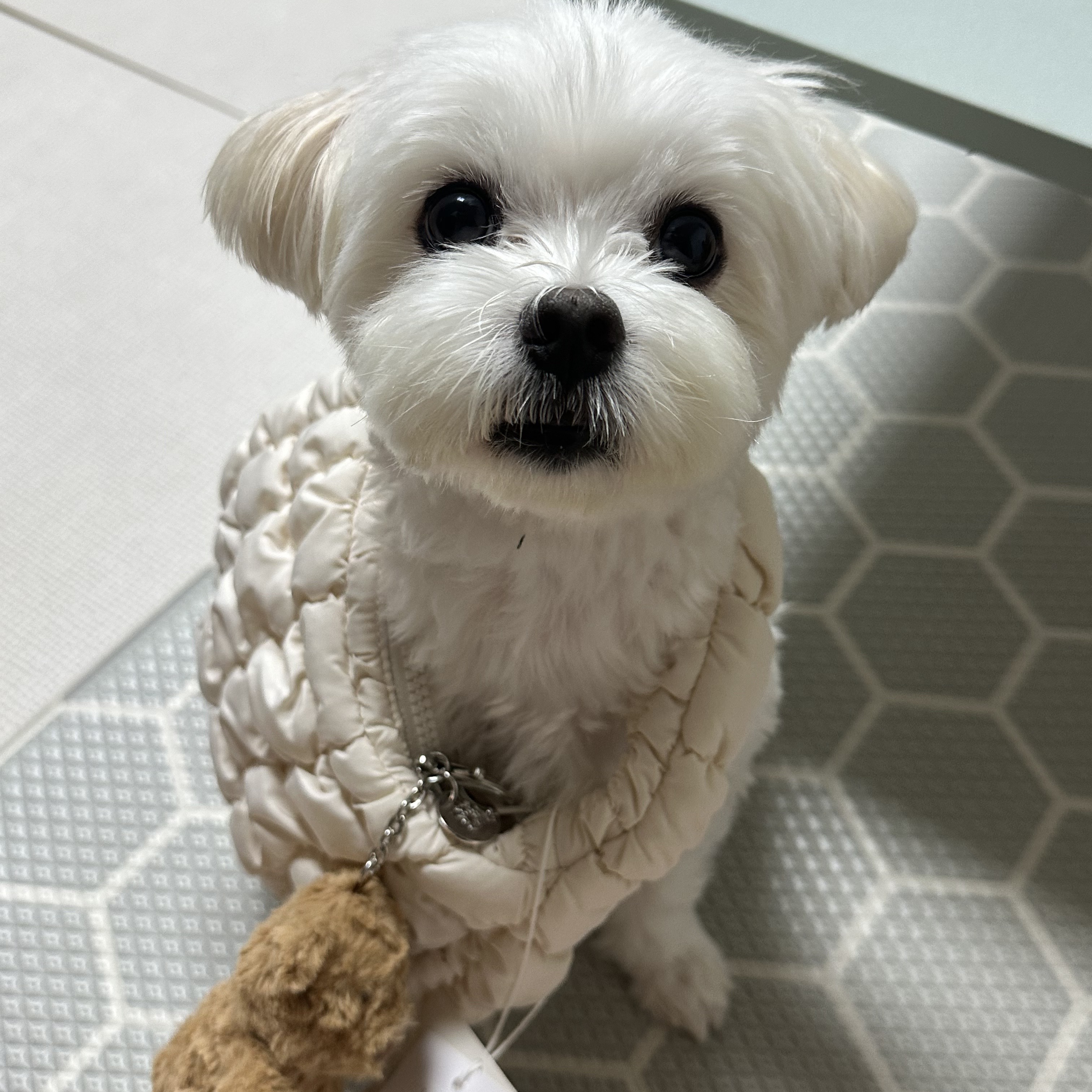 COS Quilted Micro Bag Off White 착용 스타일 - 1