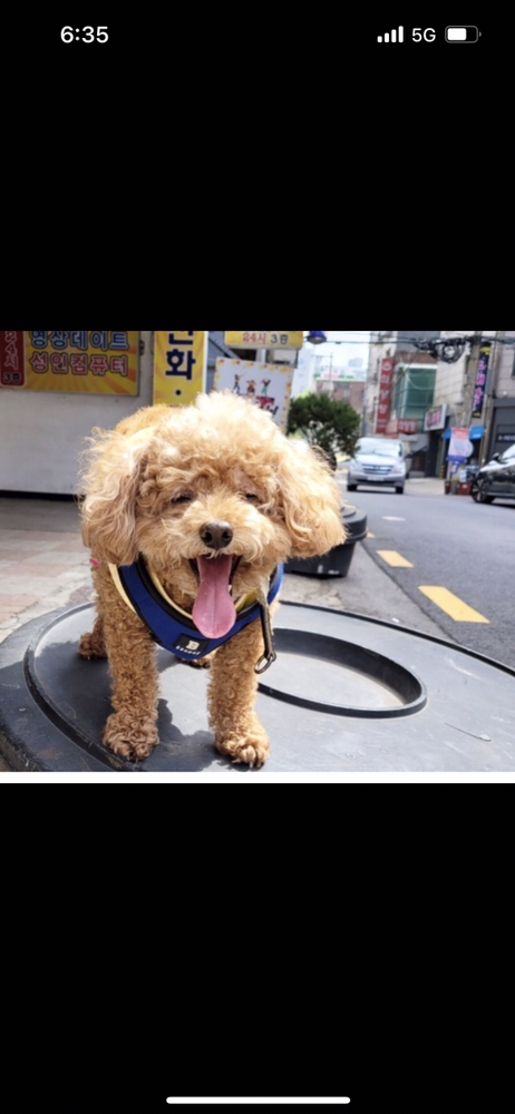 KREAM 프로필 이미지