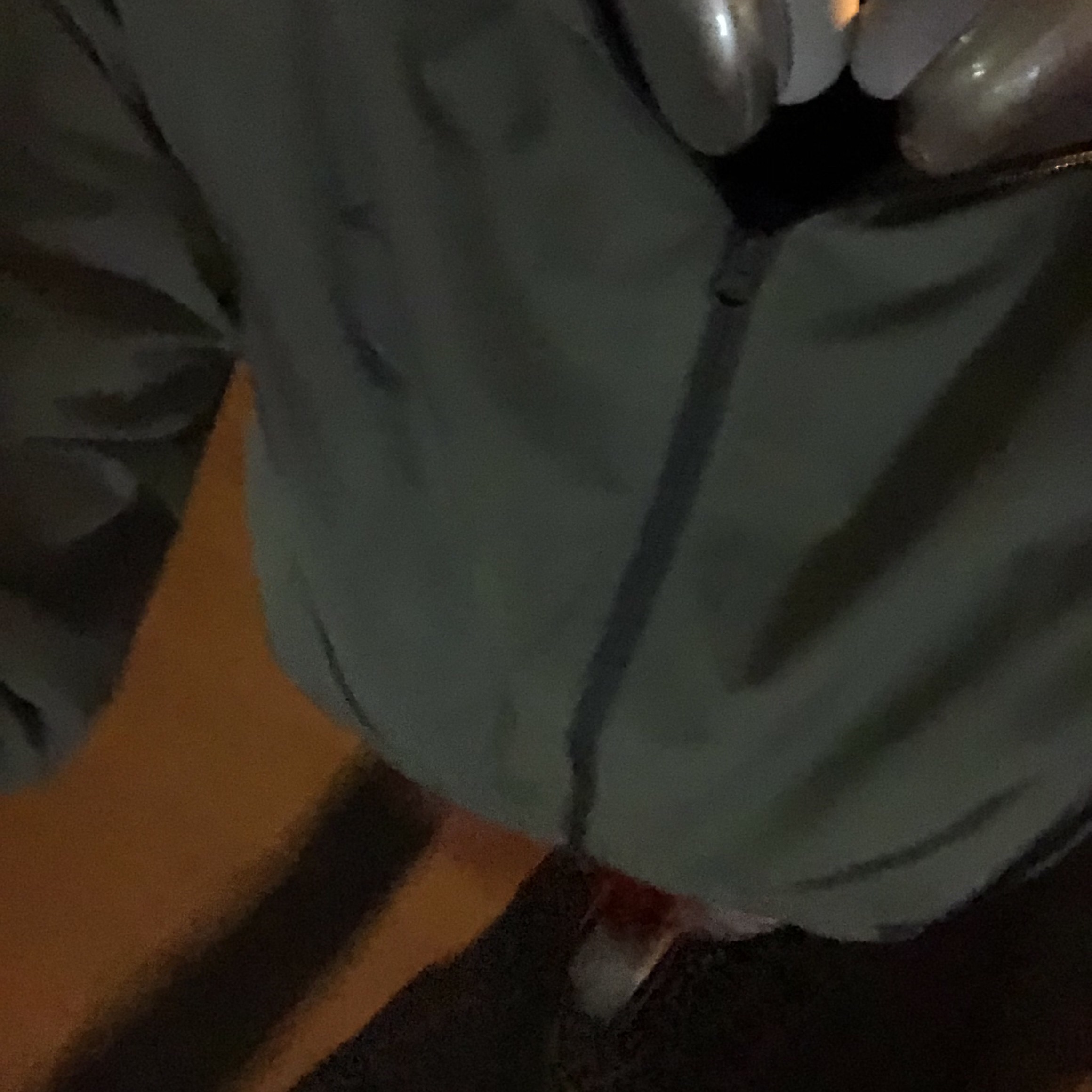 Sansan Gear Zipper Jacket Jade - 23SS, Apple AirPods Max Lightning Silver (Korean Ver.) 착용 스타일 - 1