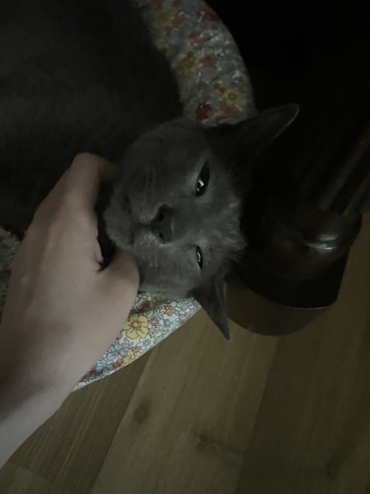 관심 유저 프로필 이미지