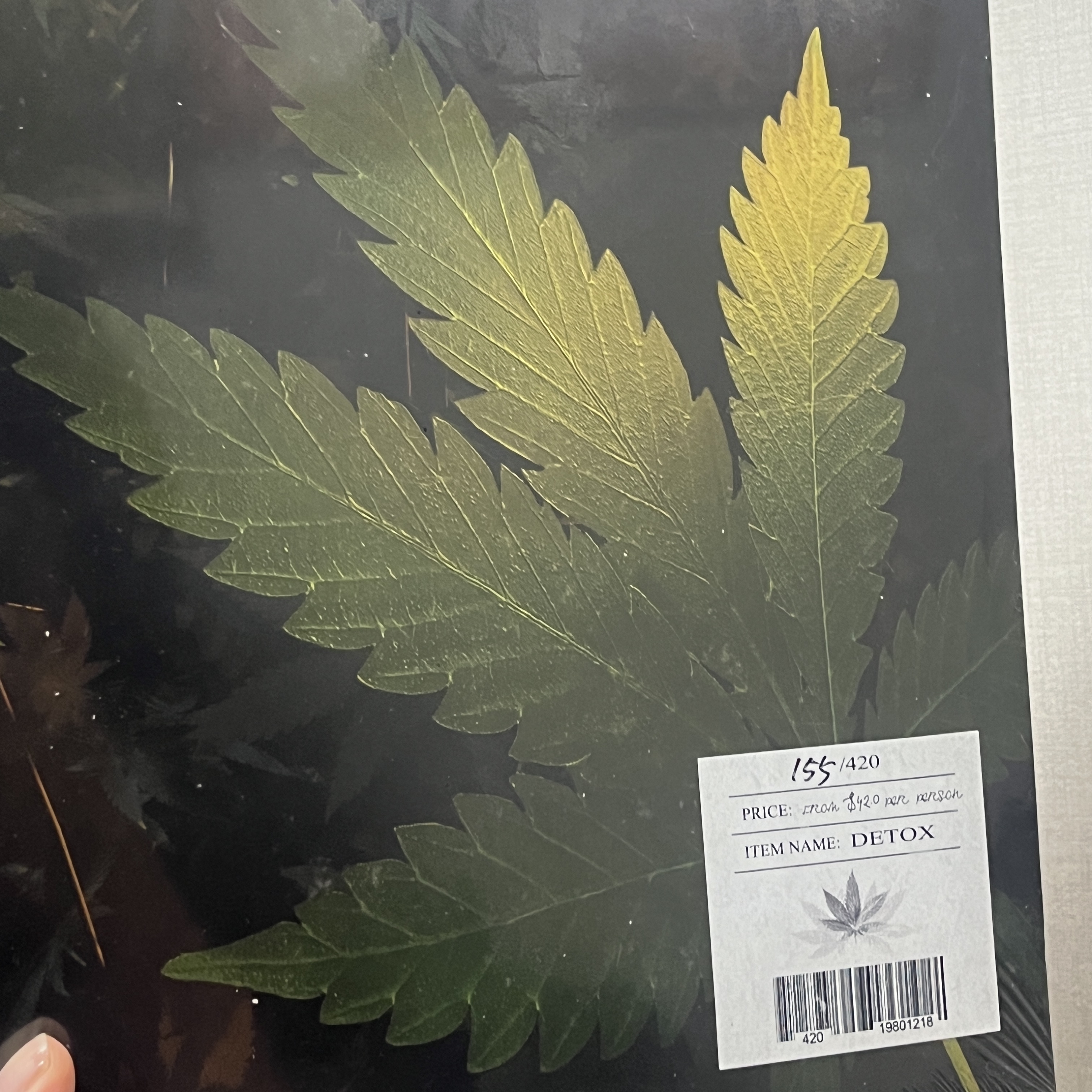 Bill Stax Detox LP (420 Limited) 착용 스타일