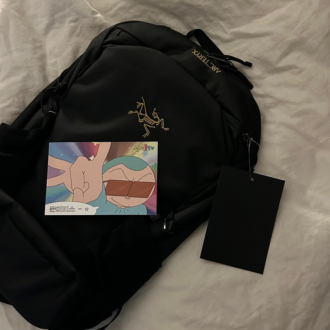Arc'teryx Mantis 16 Backpack Black 착용 스타일