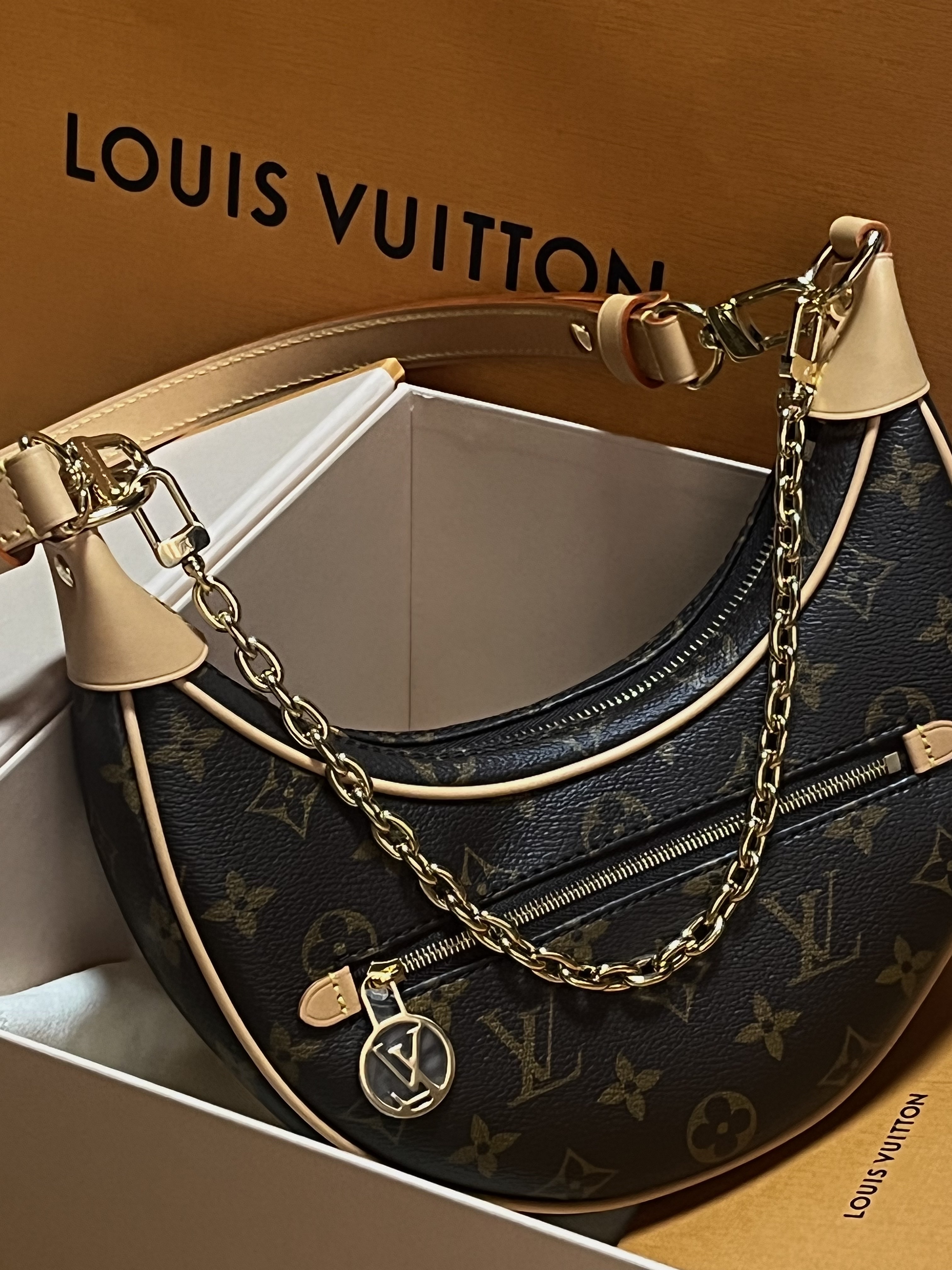Louis Vuitton Loop Monogram 착용 스타일