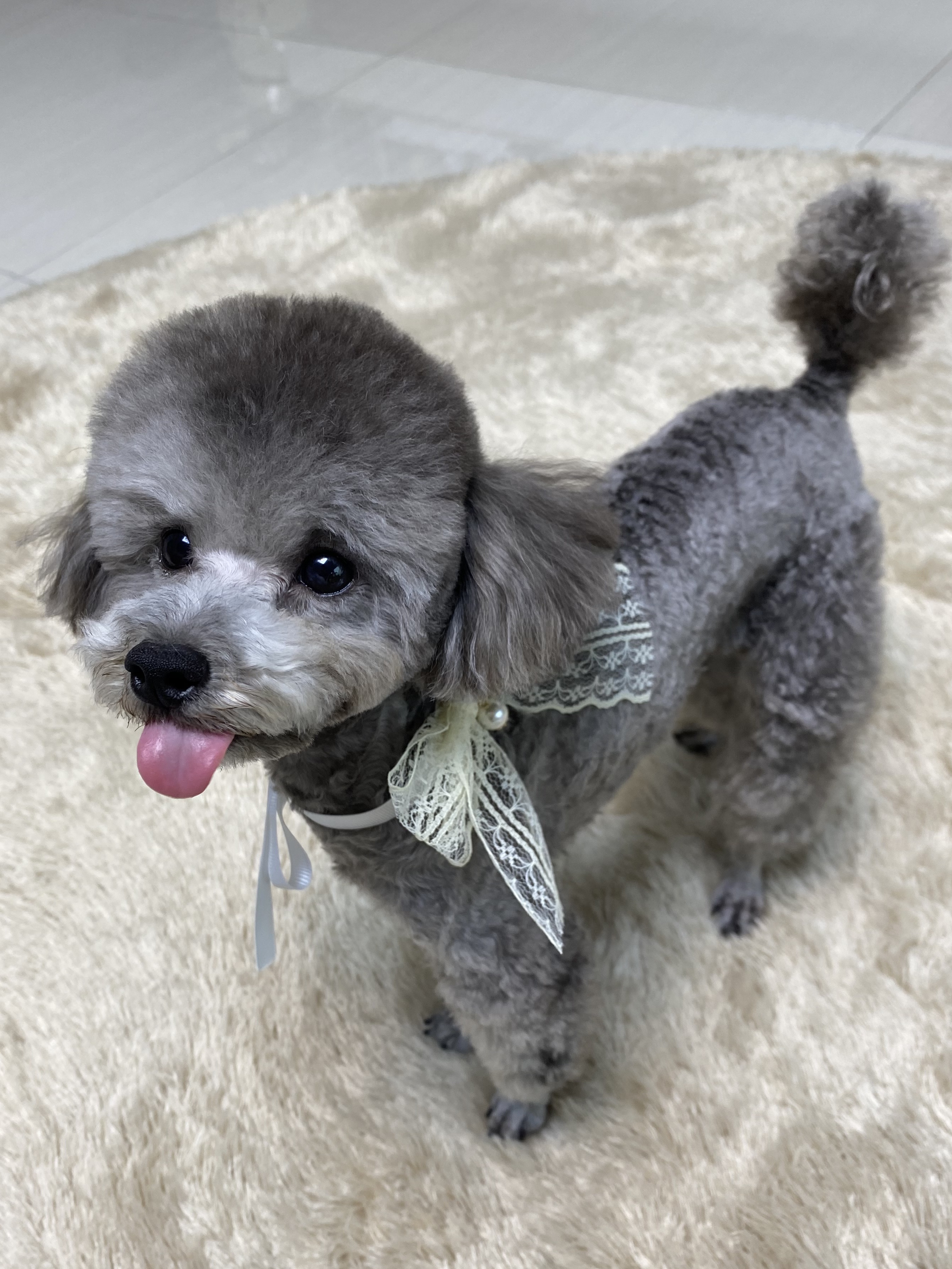 🫶🏻님의 스타일 - 3