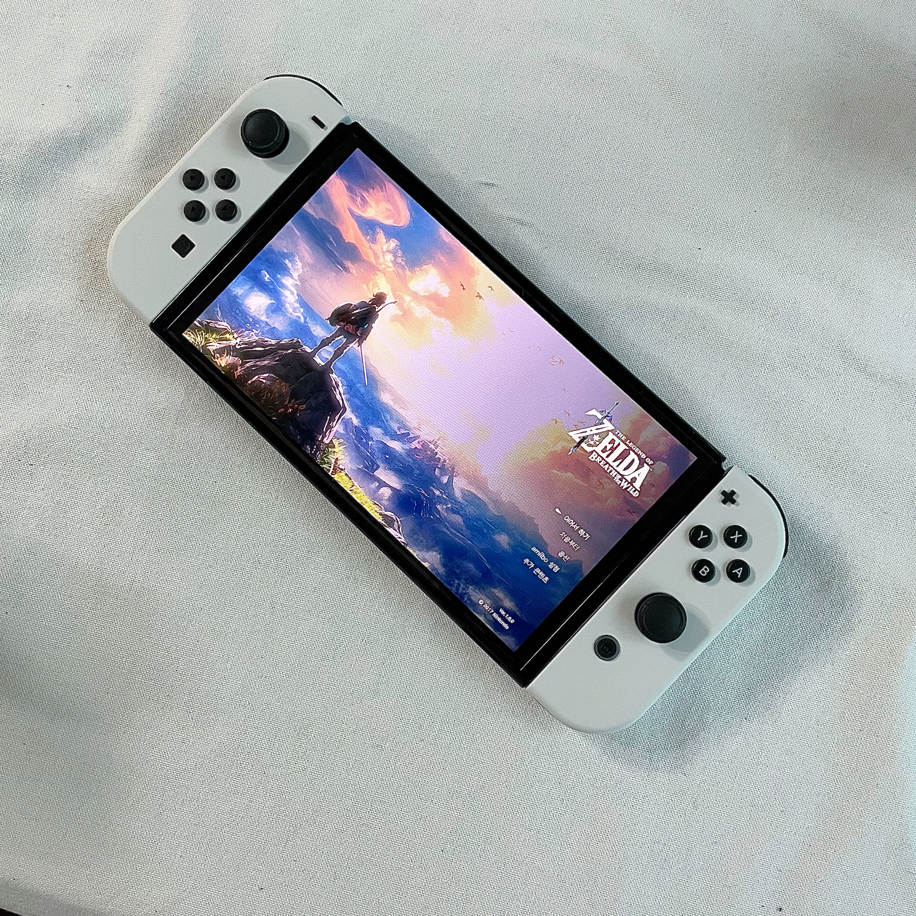 Nintendo Switch OLED White (Korean Ver.) 착용 스타일