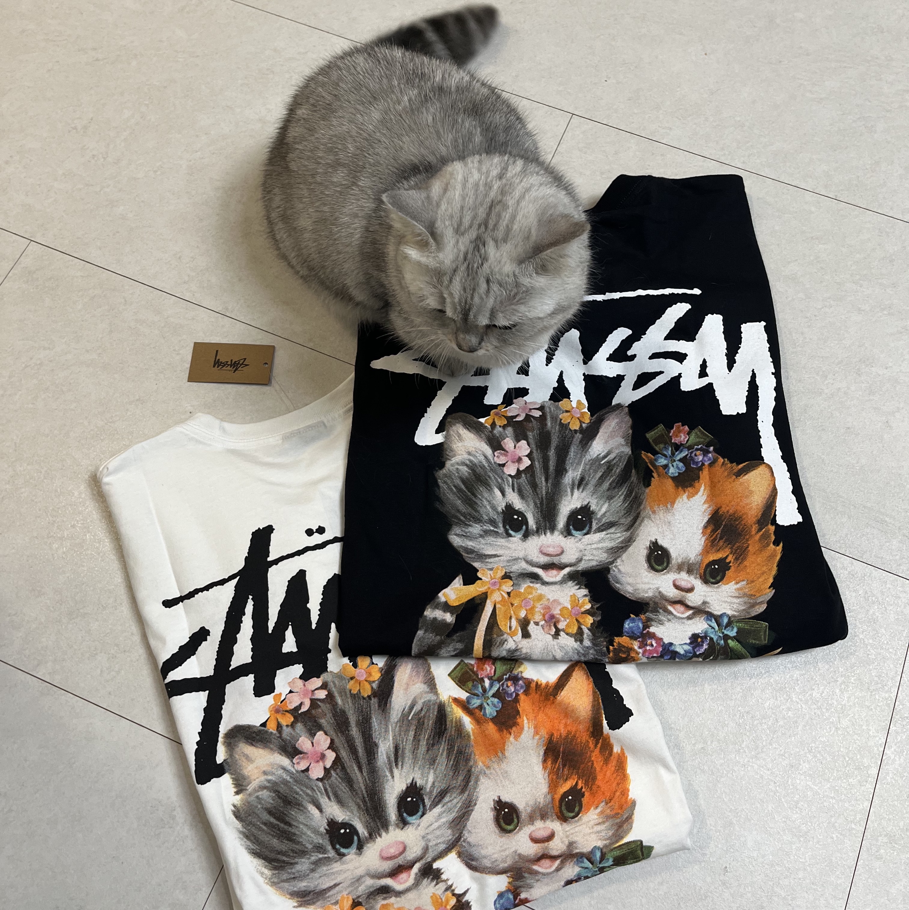 Stussy Kittens T-Shirt White, Stussy Kittens T-Shirt Black 착용 스타일