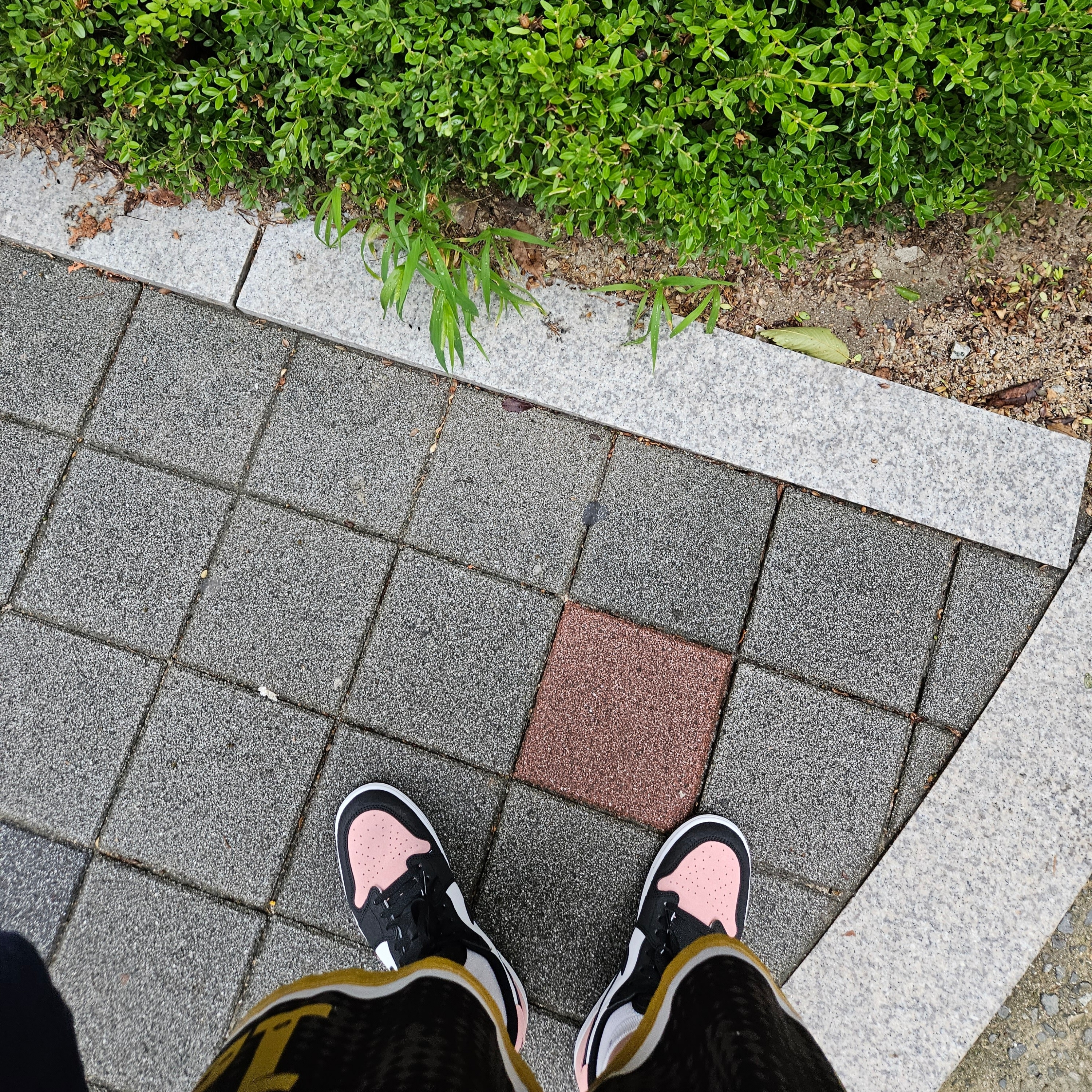 Jordan 1 Retro Low OG Bleached Coral 착용 스타일 - 1