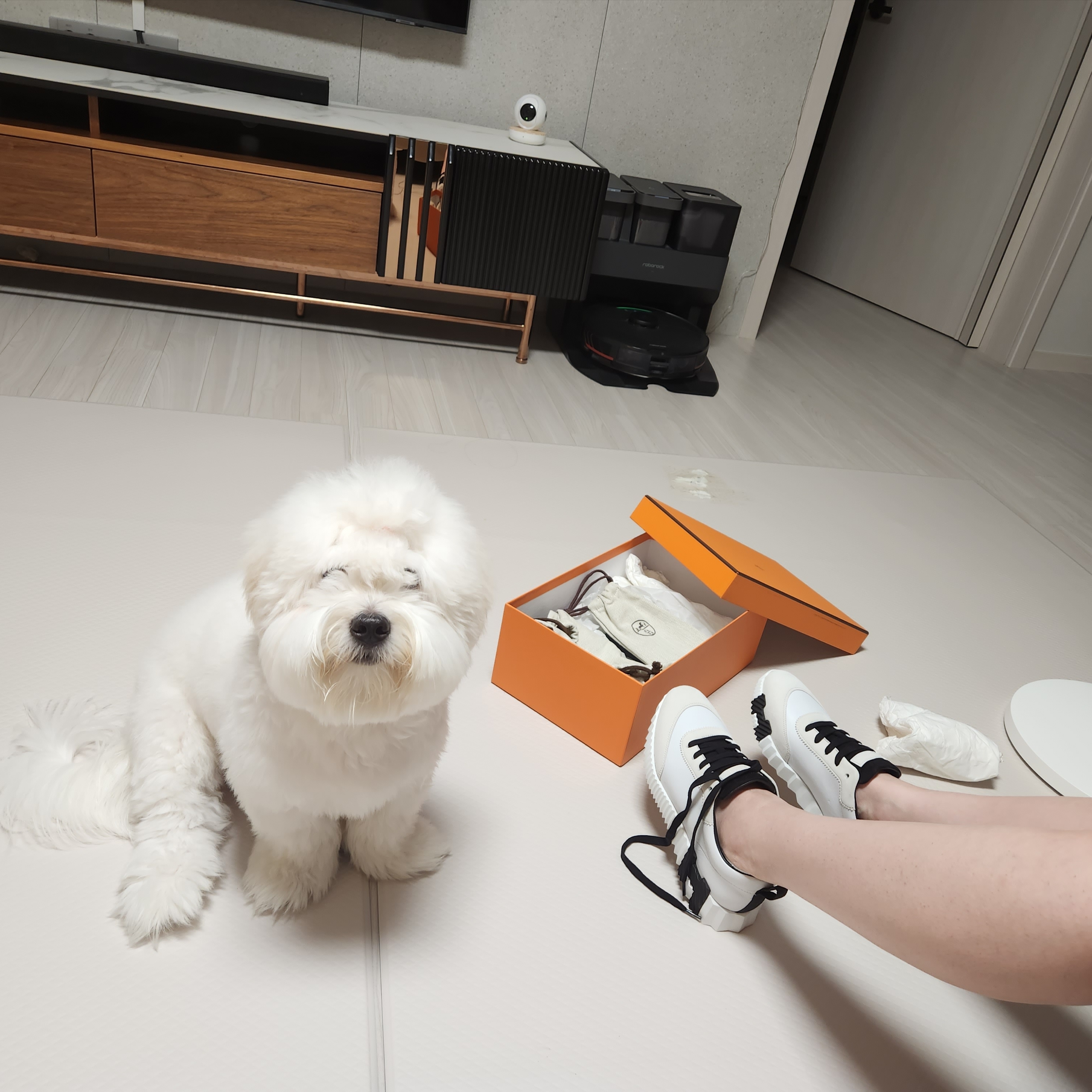 (W) Hermes Bouncing Sneakers Sport Suede Goatskin & Blanc Noir 착용 스타일