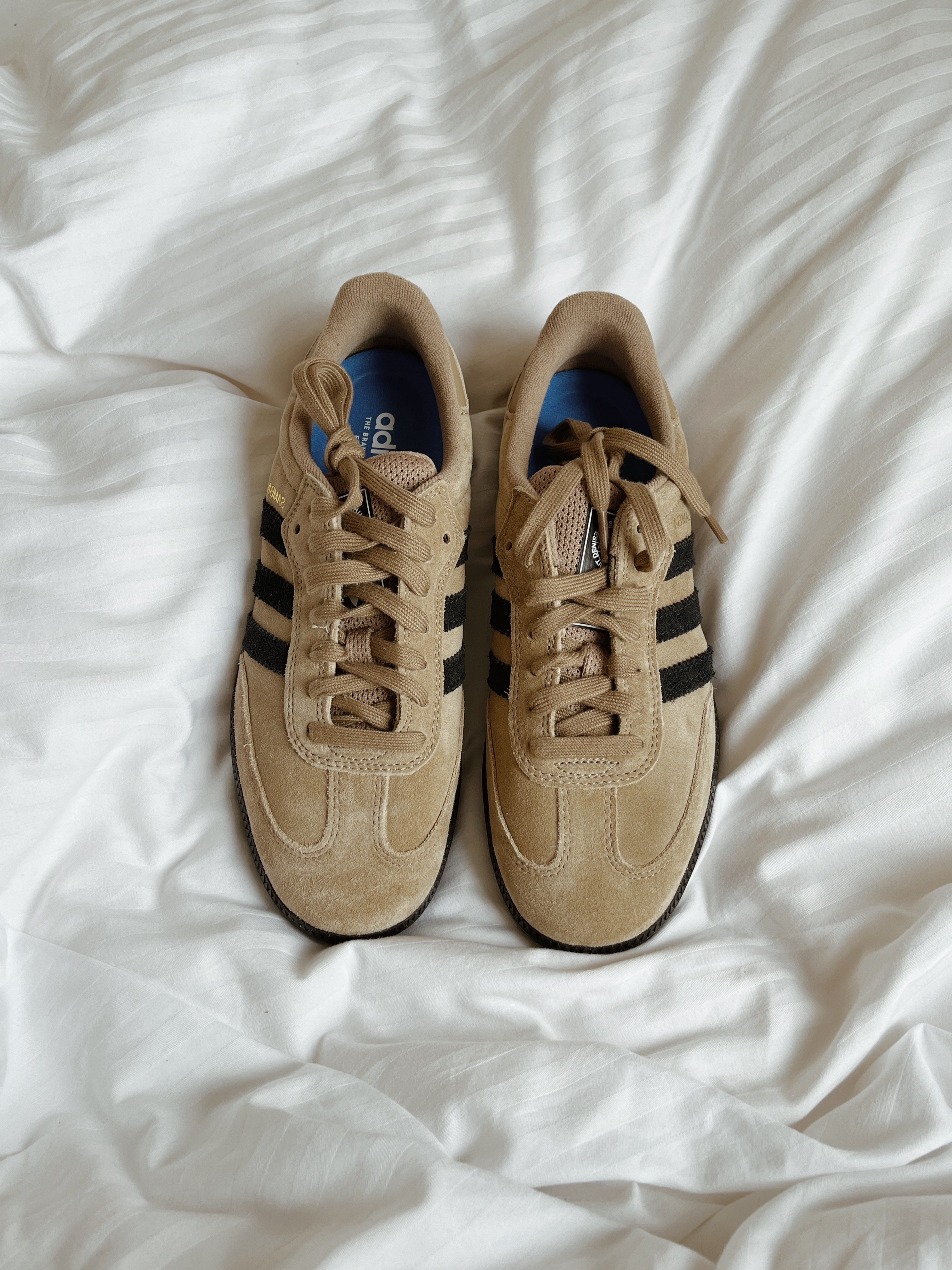 Adidas Samba ADV Cardboard 착용 스타일