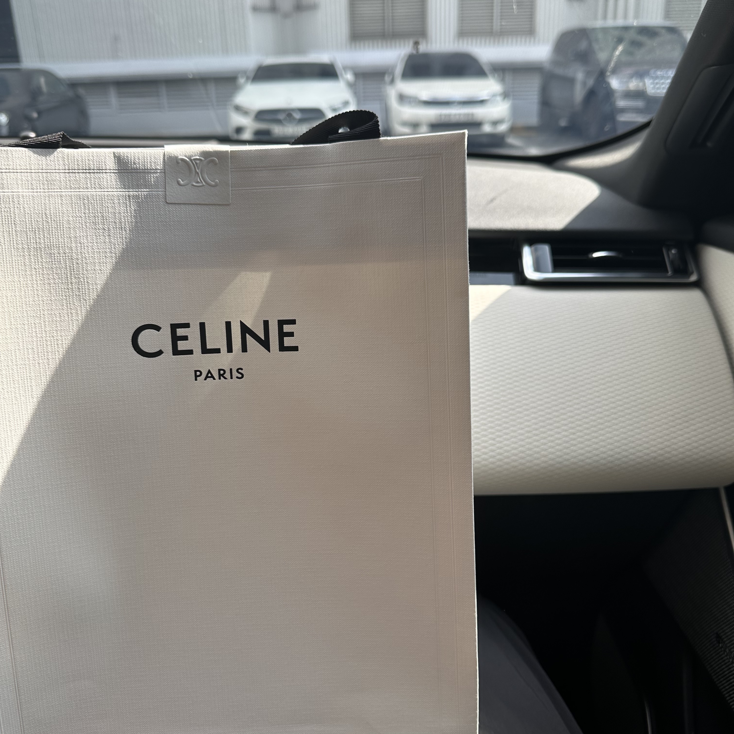Celine Monochroms 05 Sunglasses in Acetate White 착용 스타일 - 1