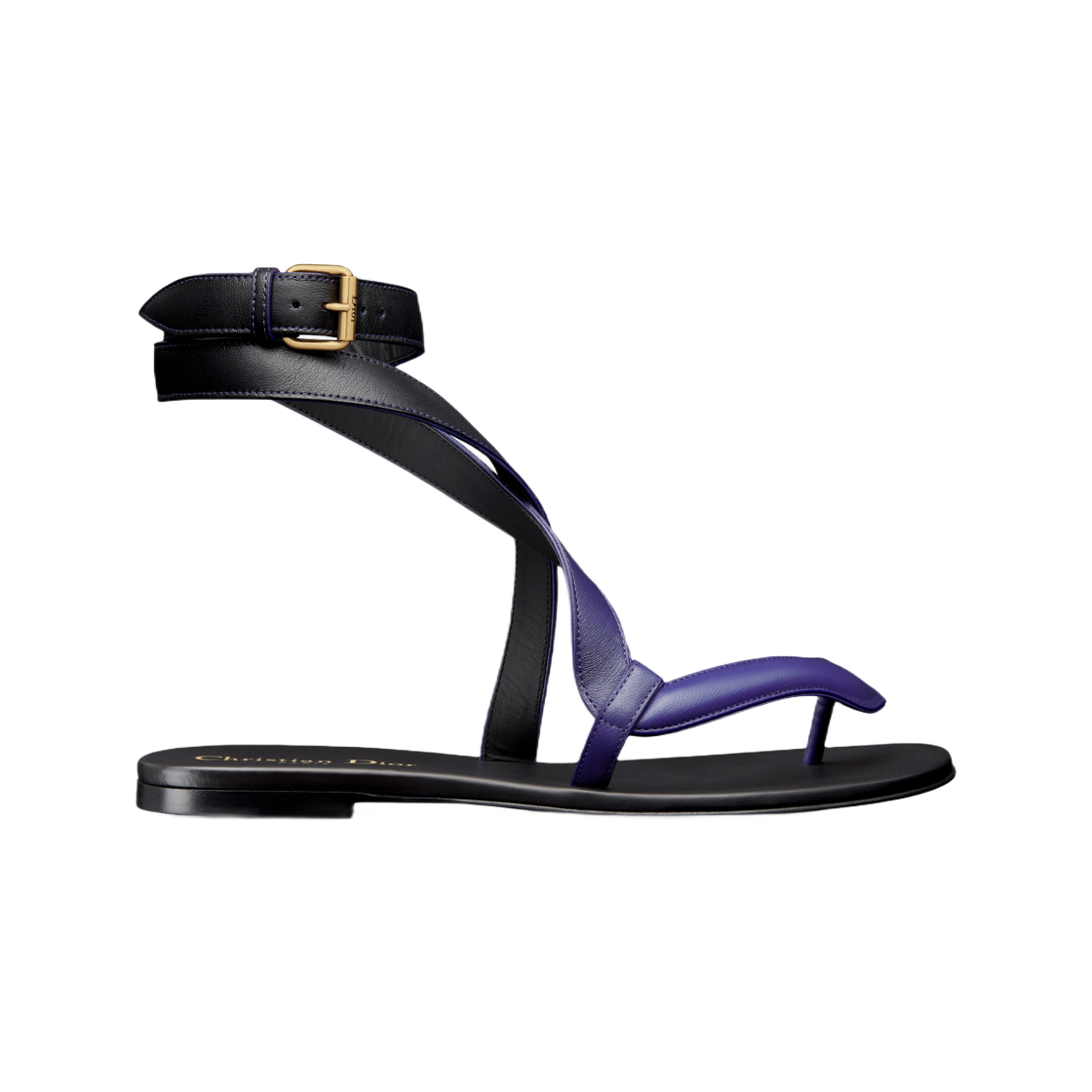 (W) 디올 포이즌 D 통 샌들 코발트 블루 그라디언트 카프스킨((W) Dior Poison D Thong Sandal Cobalt Blue Gradient Calfskin) - 1