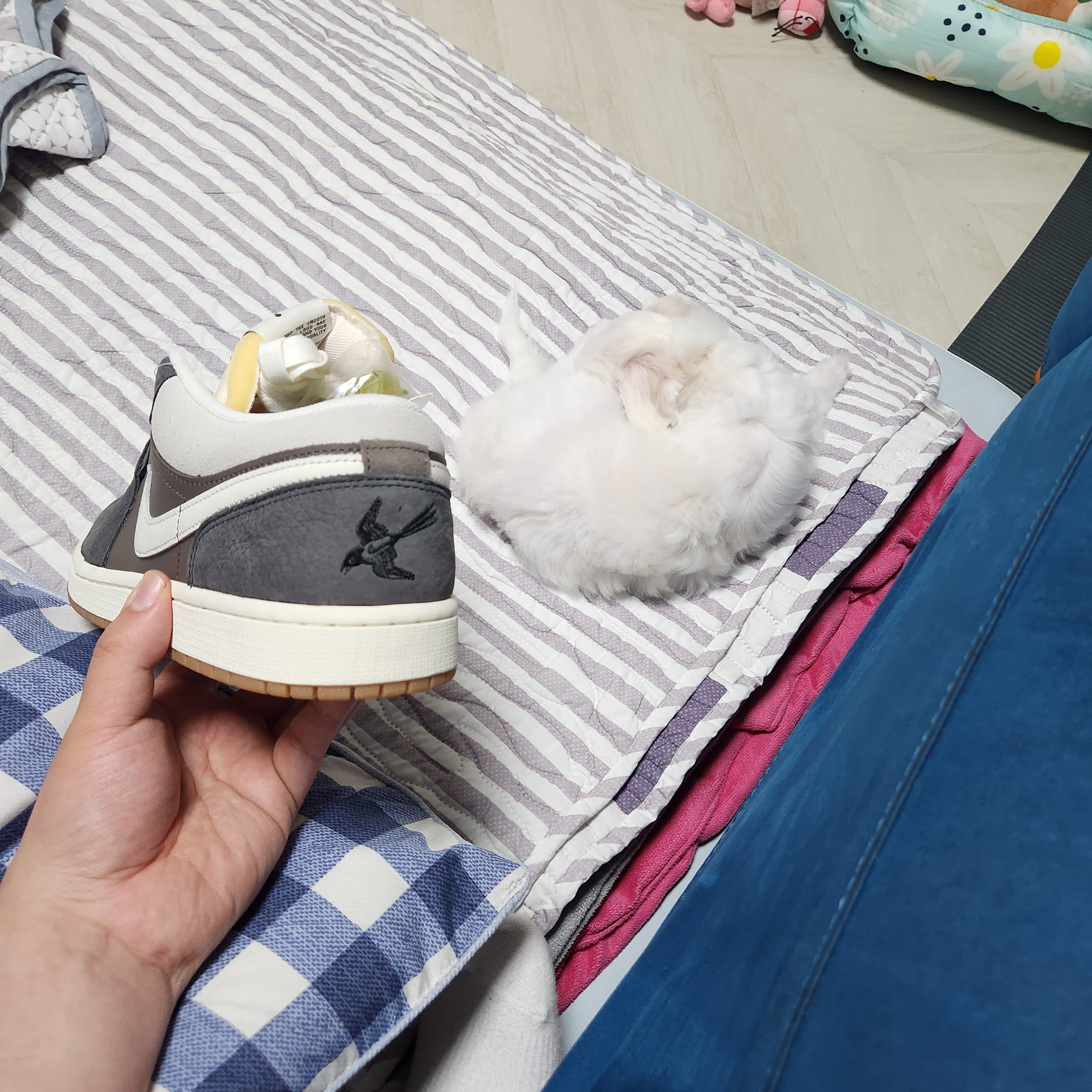 Jordan 1 Low Kkachi 착용 스타일 - 3
