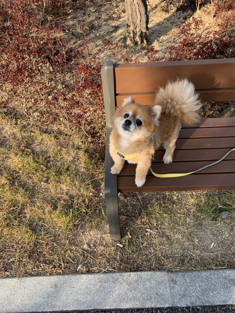 관심 유저 프로필 이미지