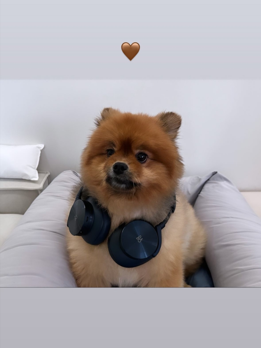 Bang & Olufsen Beoplay H95 Black (Korean Ver.) 착용 스타일