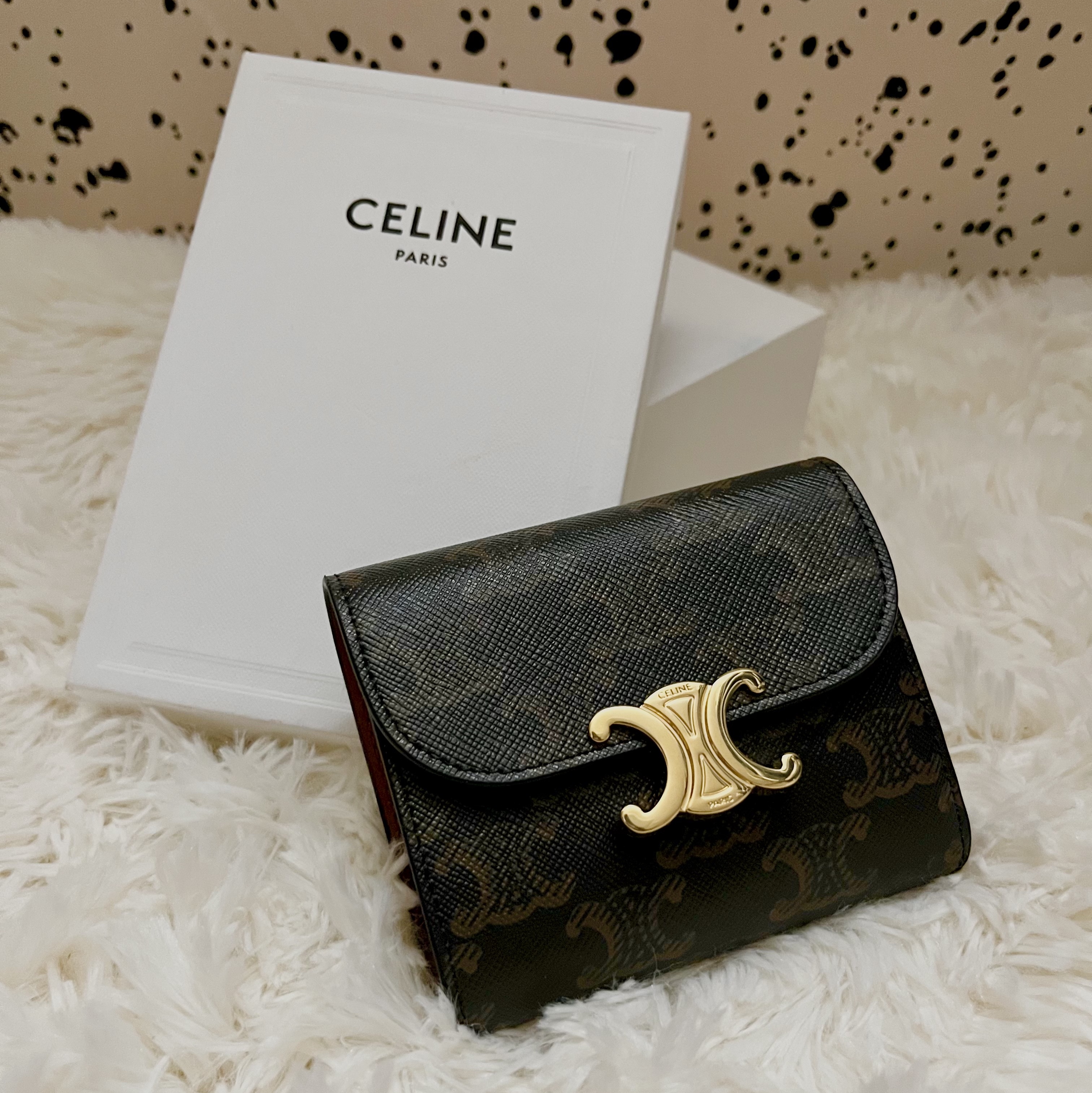 Celine Small Wallet Triomphe in Triomphe Canvas Tan 착용 스타일