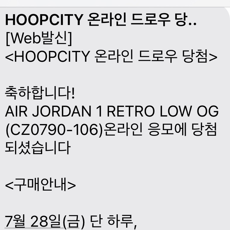 Jordan 1 Retro Low OG Black Toe 착용 스타일