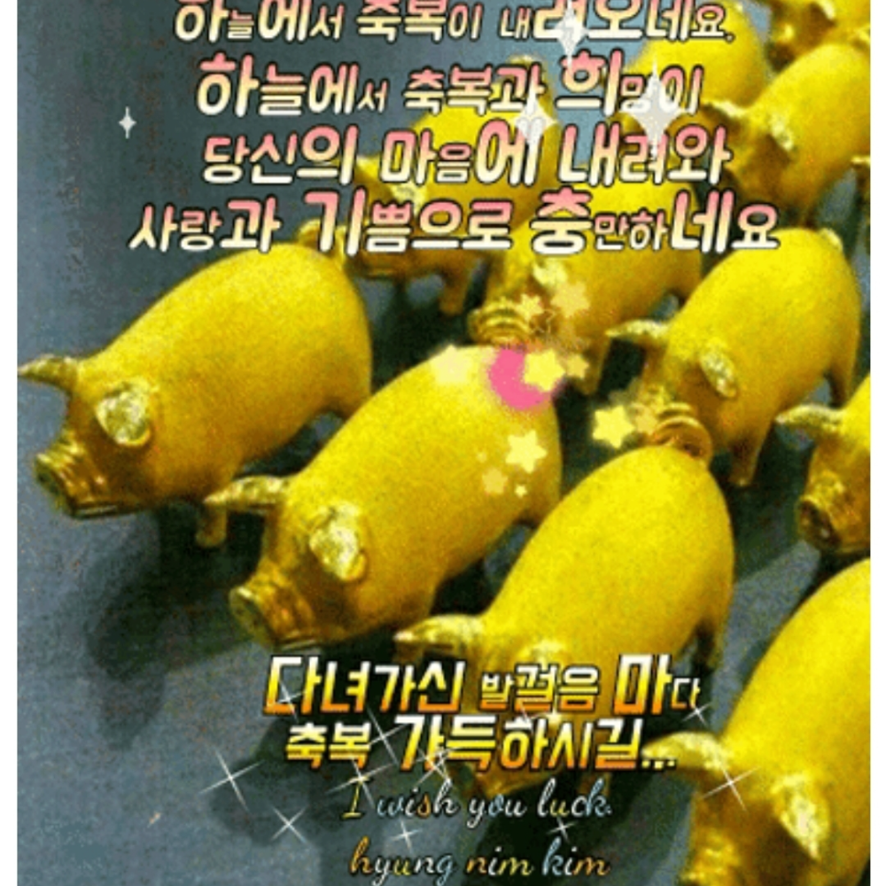 관심 유저 프로필 이미지