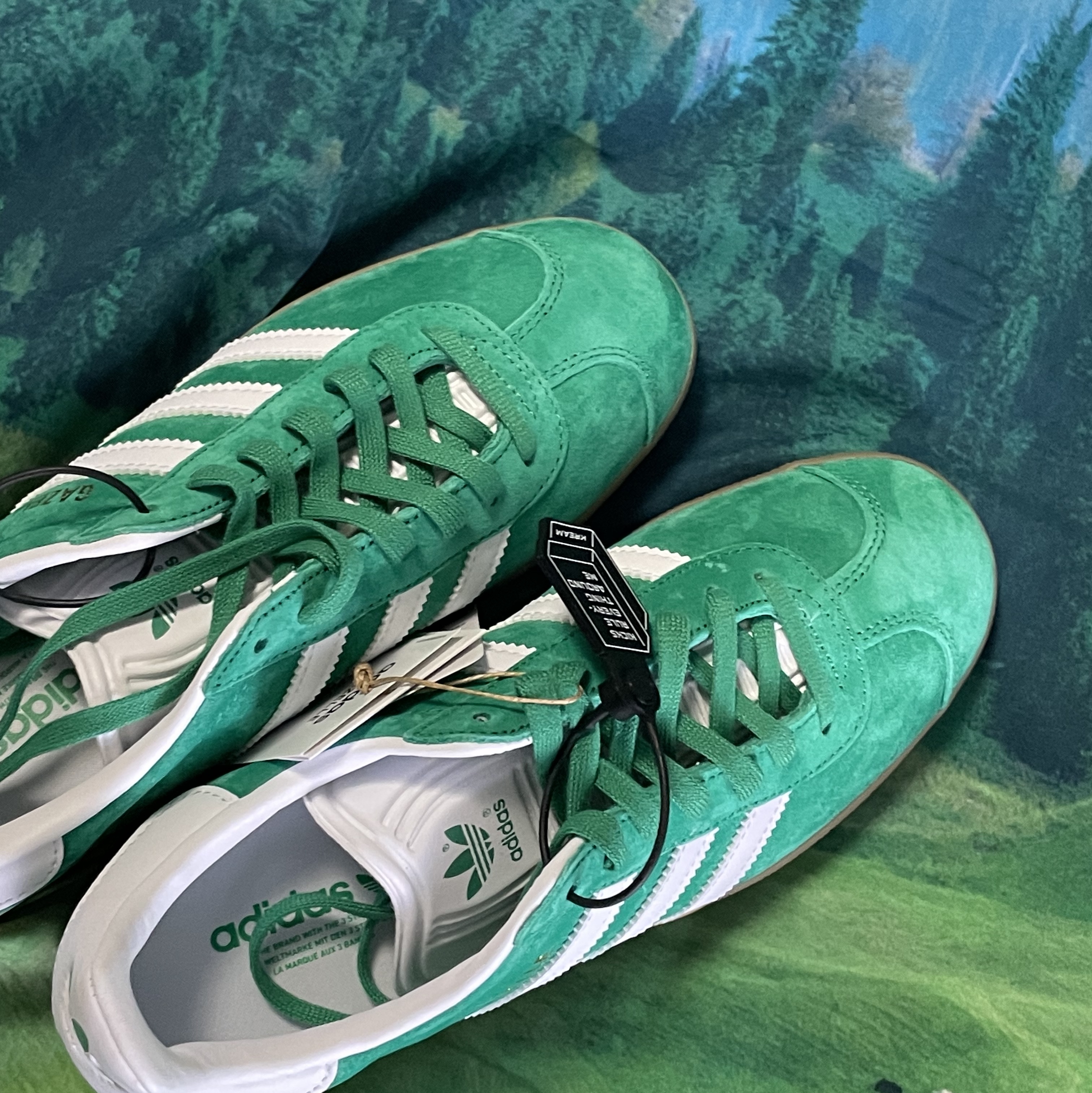 Adidas Gazelle Court Green Cloud White 착용 스타일