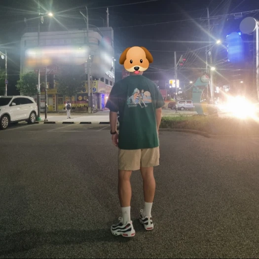 스타일 카드