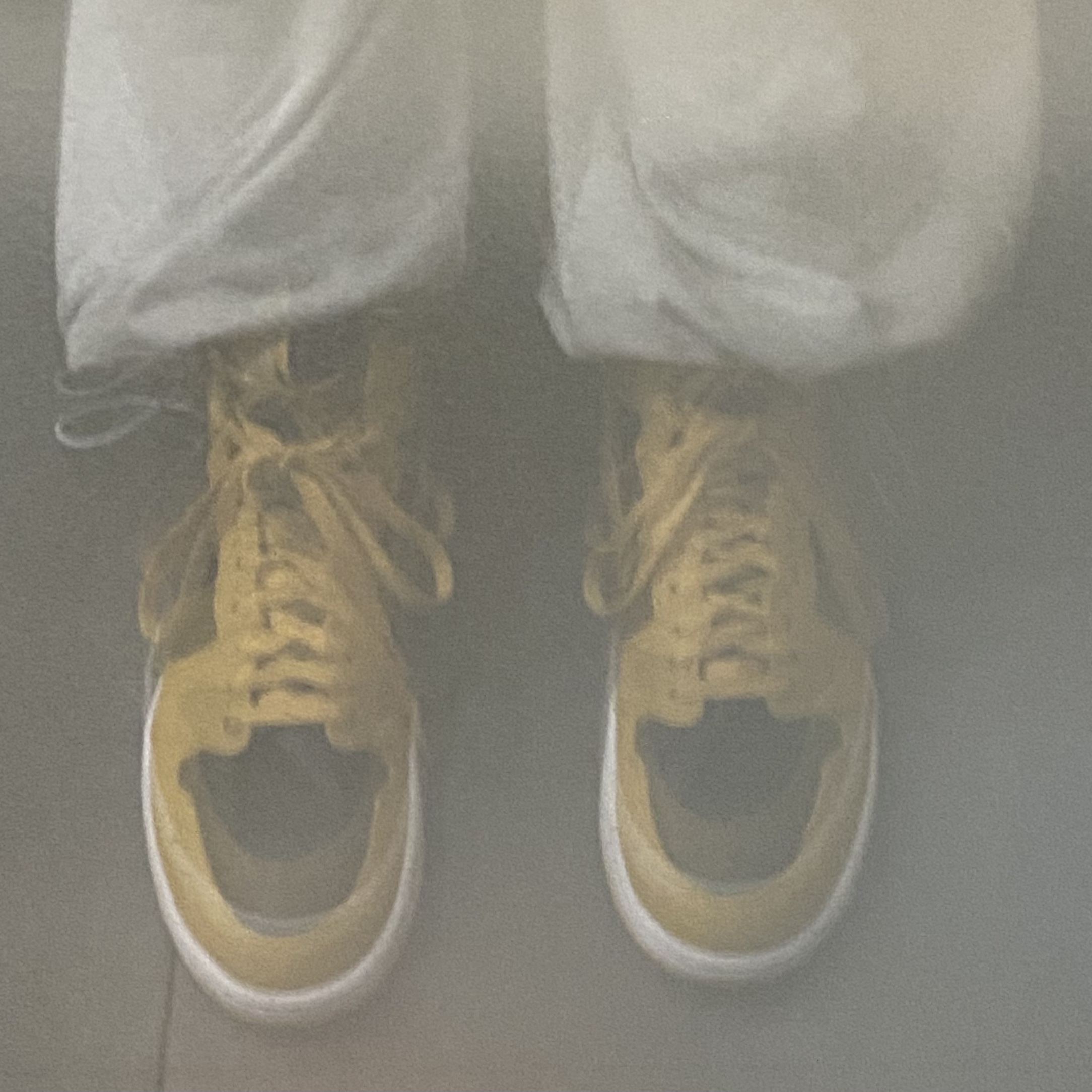 Jordan 1 Retro High OG Pollen 착용 스타일