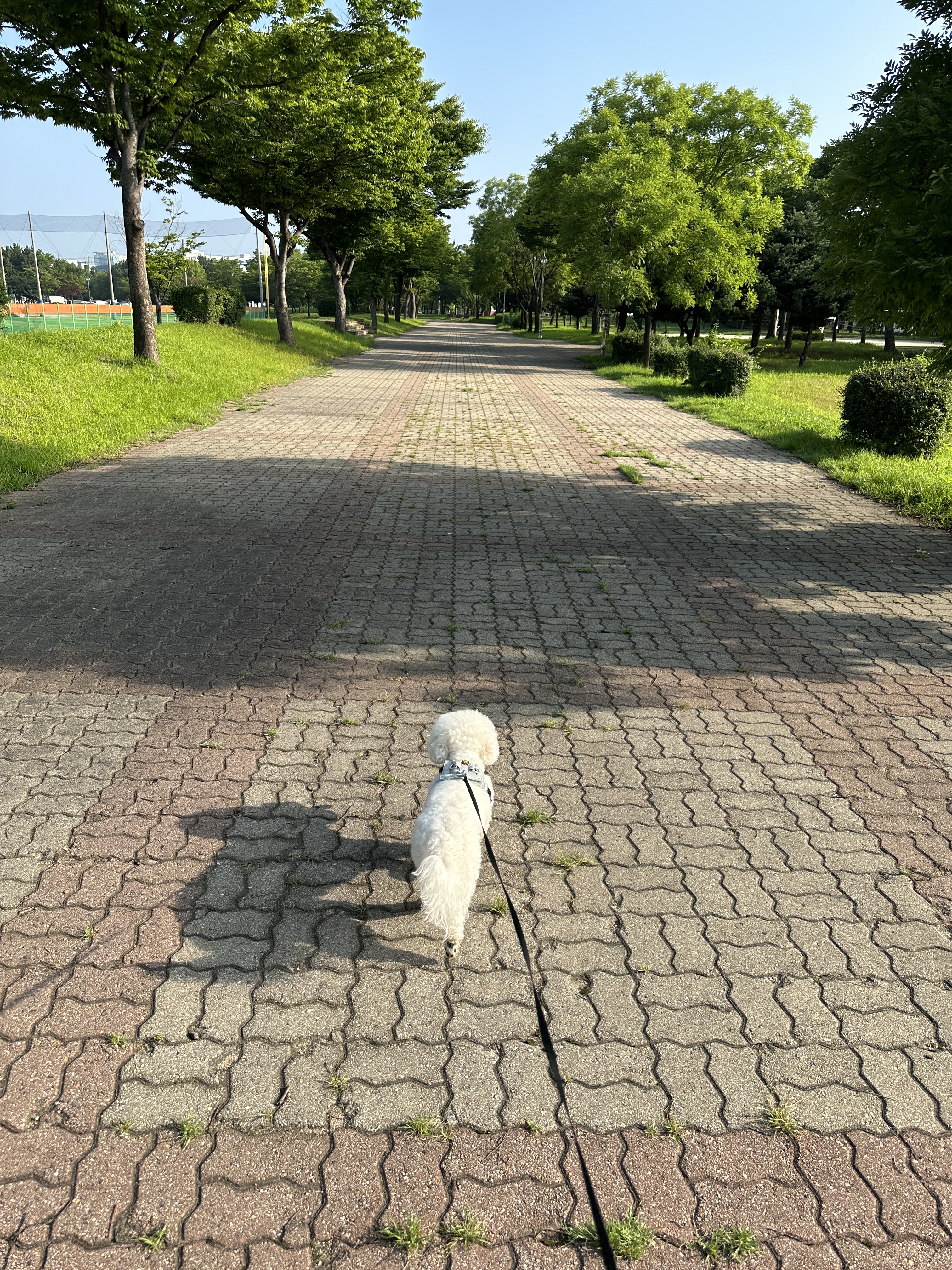 너구리님의 스타일 - 2