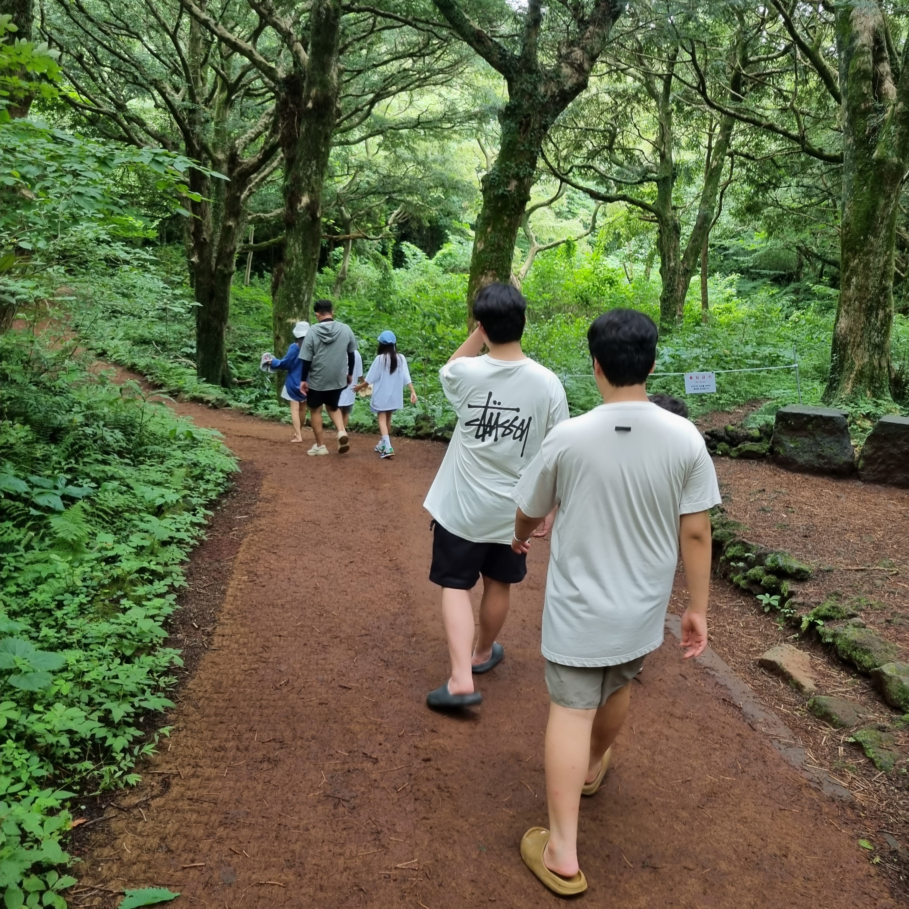 Stussy Basic Stussy Pigment Dyed T-Shirt Natural 2023 착용 스타일