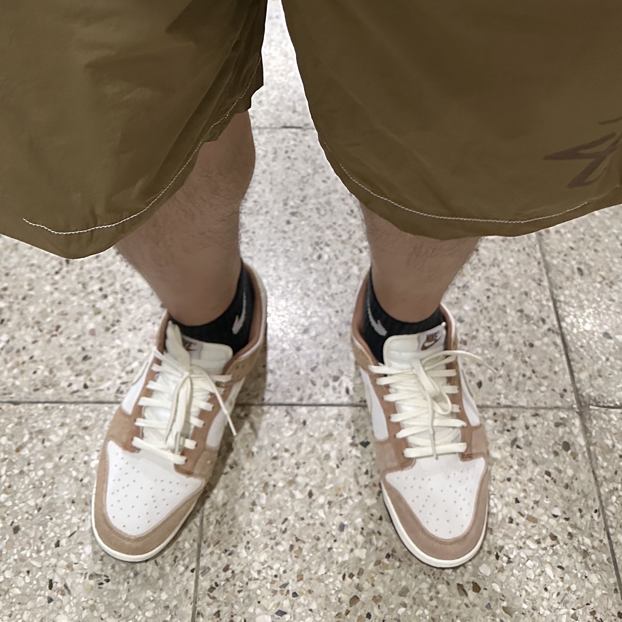 Nike Dunk Low Pro Premium Medium Curry, Stussy Big Stock Nylon Shorts Brown 착용 스타일