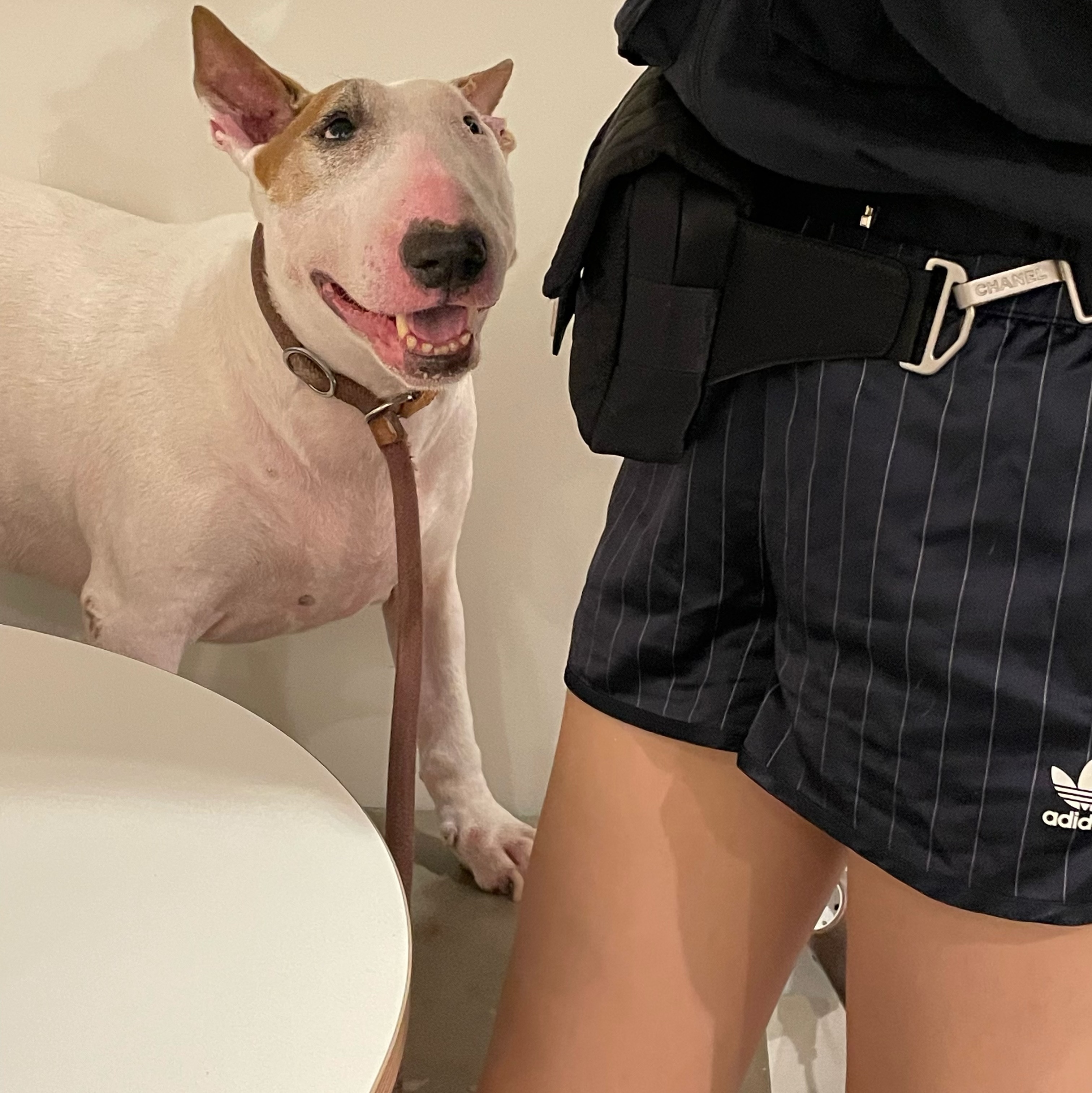(W) Adidas x Sporty & Rich Shorts Legend Ink - US Sizing 착용 스타일 - 1