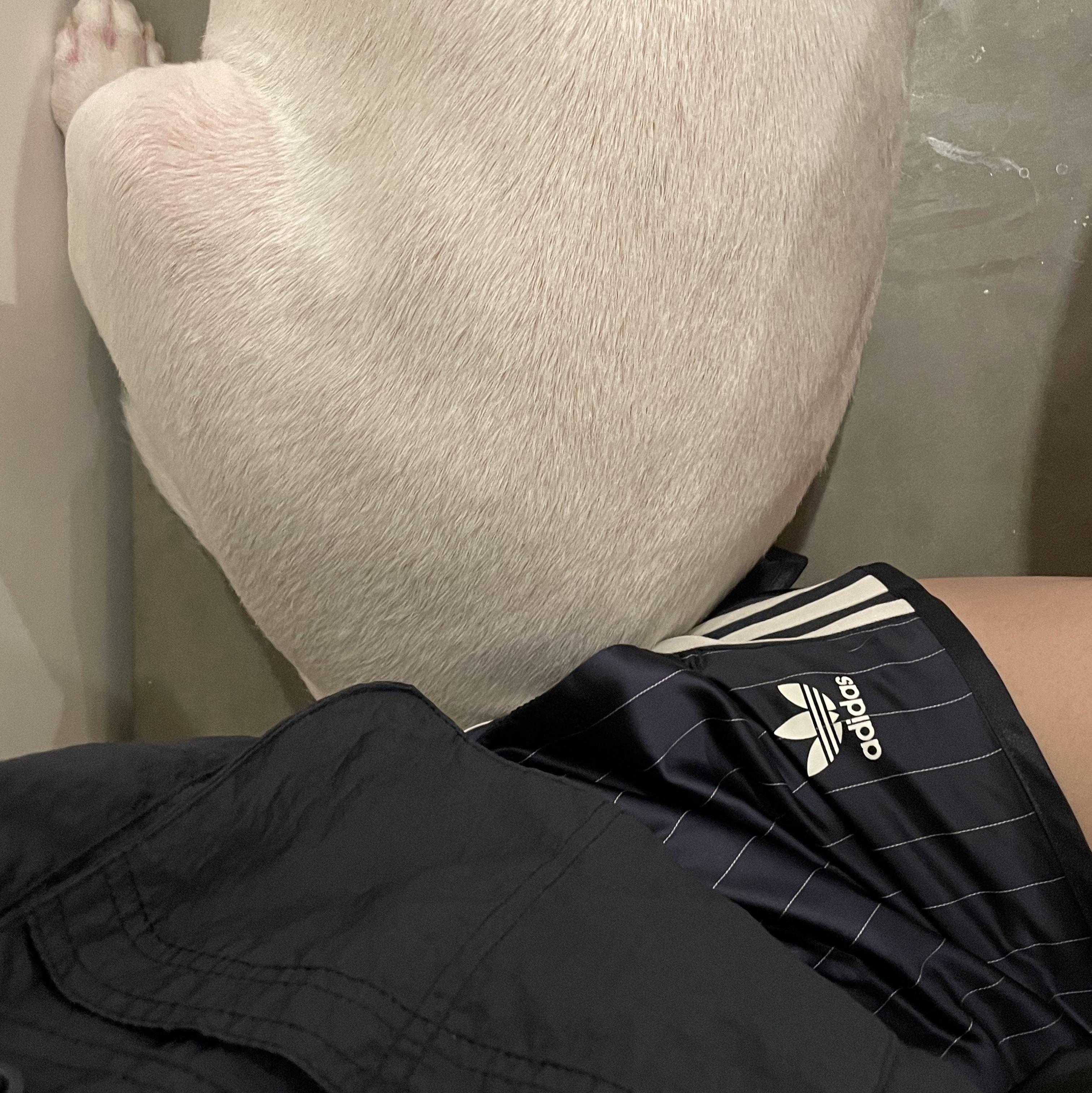 (W) Adidas x Sporty & Rich Shorts Legend Ink - US Sizing 착용 스타일 - 2