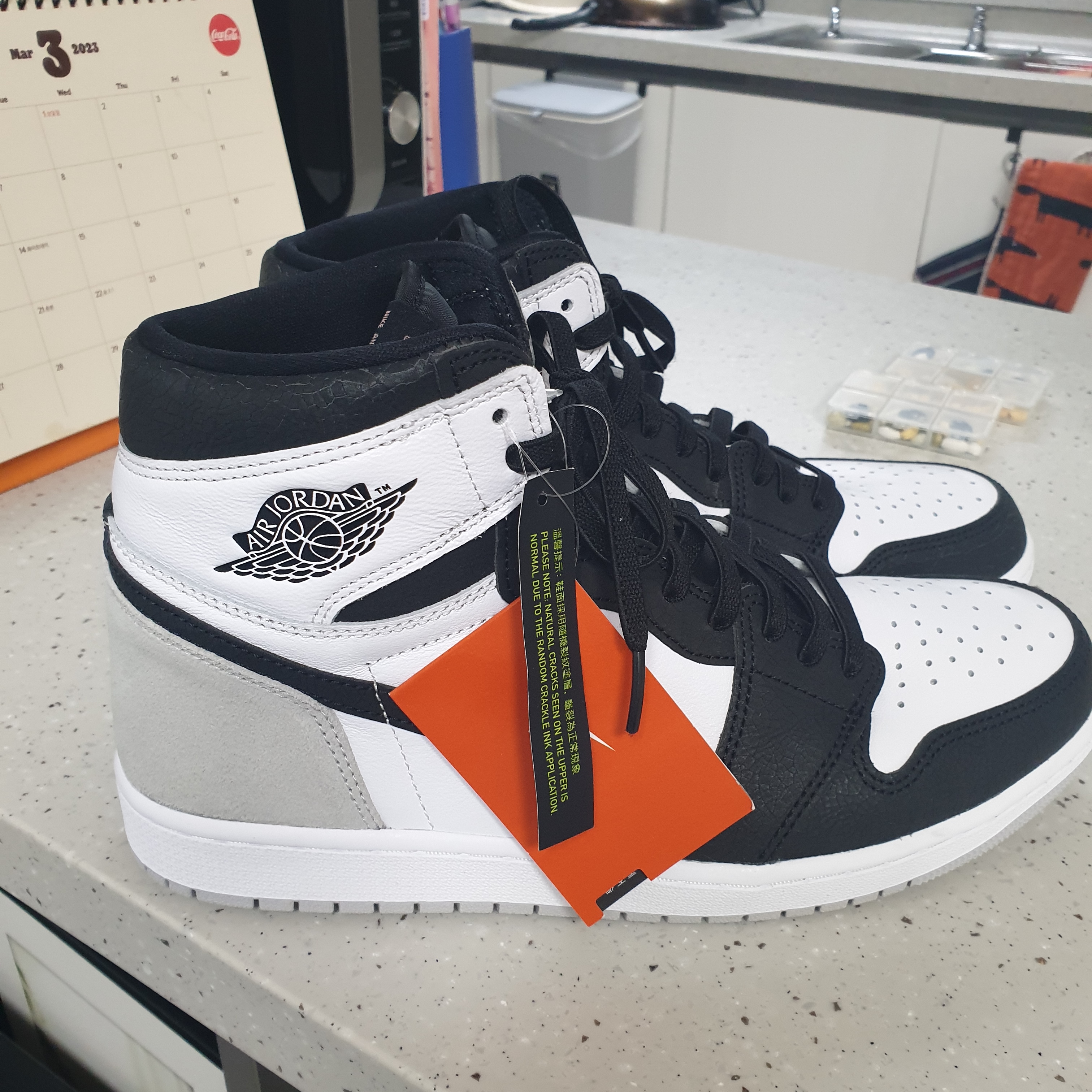 Jordan 1 Retro High OG Bleached Coral 착용 스타일 - 2