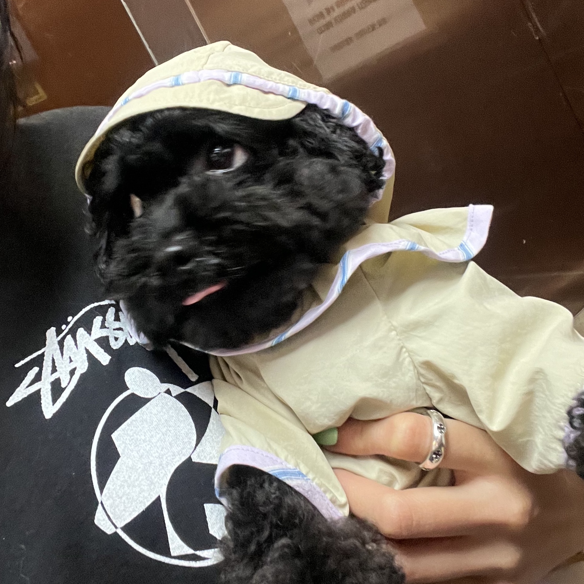 Stussy x Our Legacy Surfman 2 Pigment Dyed T-Shirt Black 착용 스타일