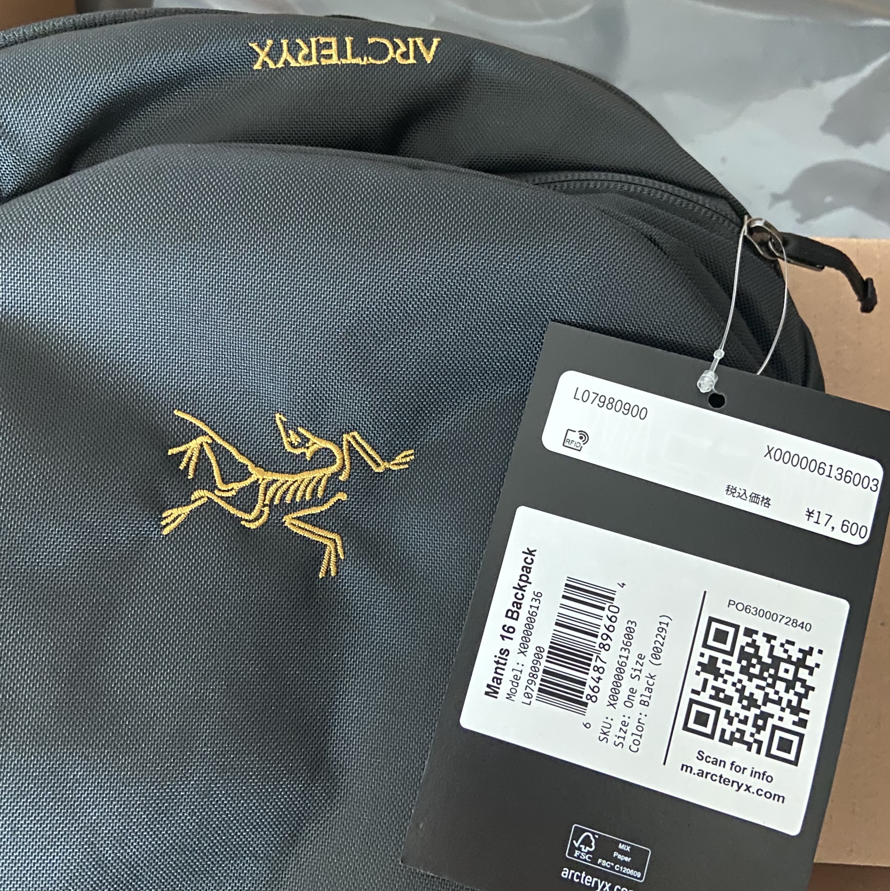 Arc'teryx Mantis 16 Backpack Black 착용 스타일