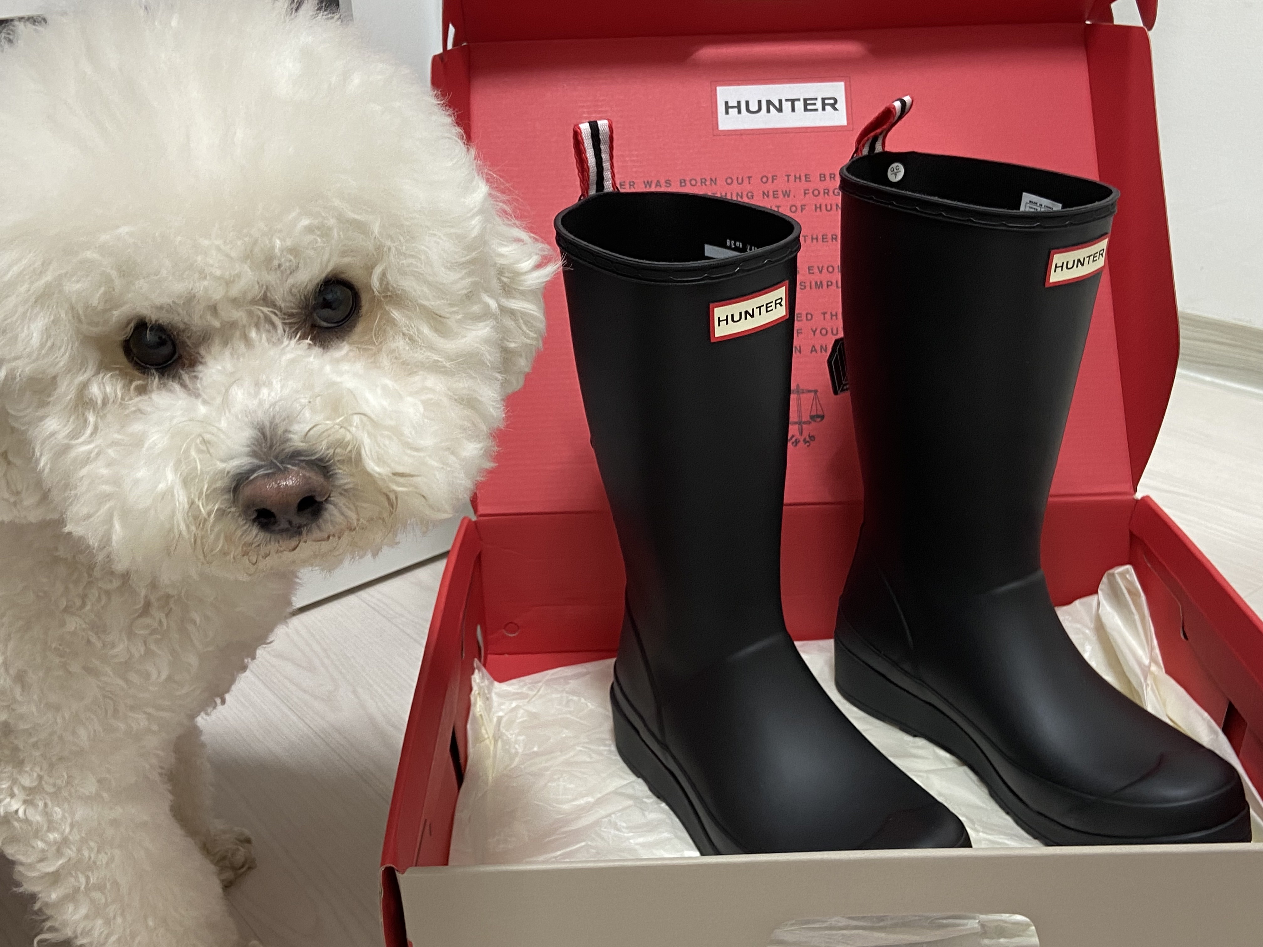 (W) Hunter Play Tall Wellington Rain Boots Black 착용 스타일