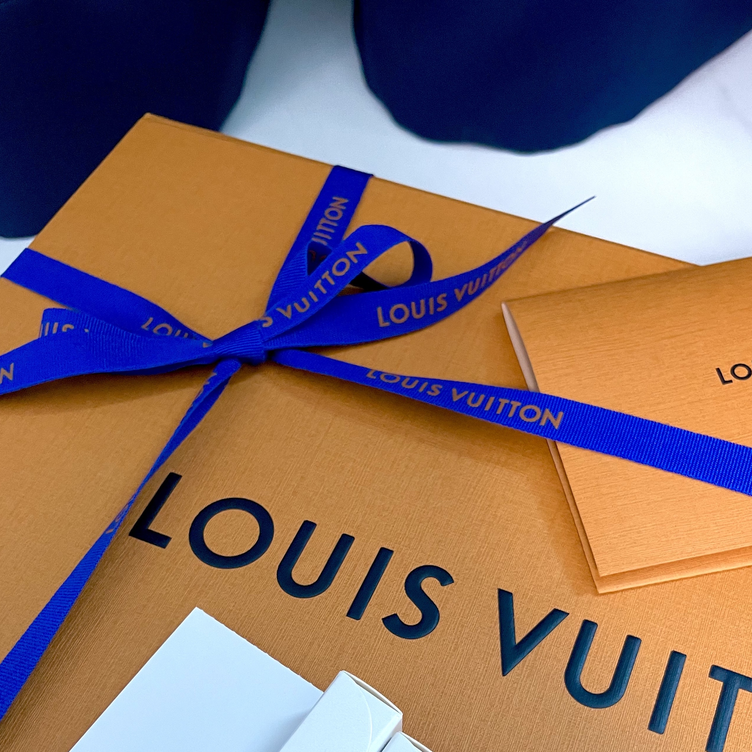 Louis Vuitton Sac Plat BB Monogram 착용 스타일 - 2