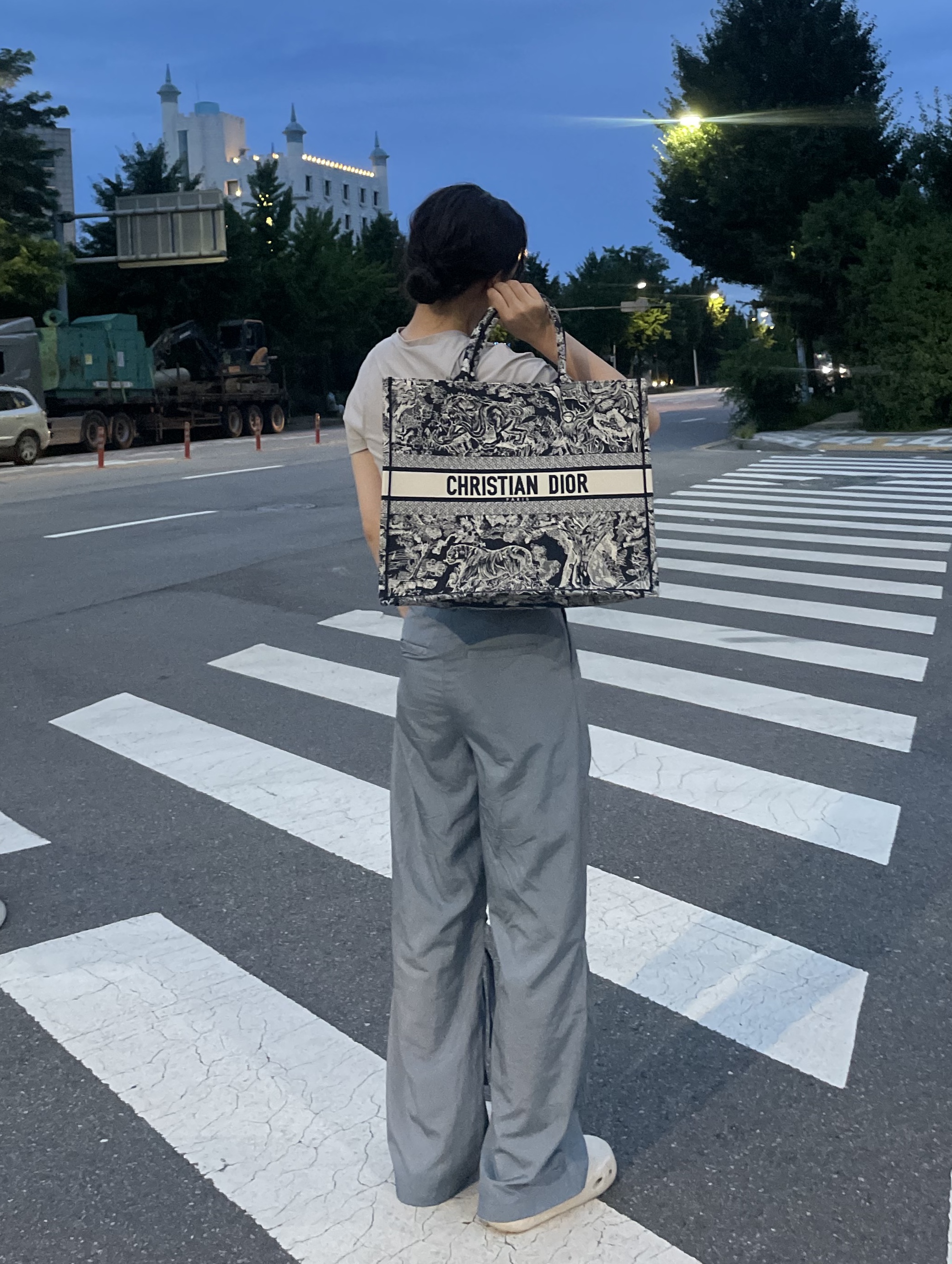 Dior Medium Book Tote Blue Toile de Jouy Reverse Embroidery 착용 스타일