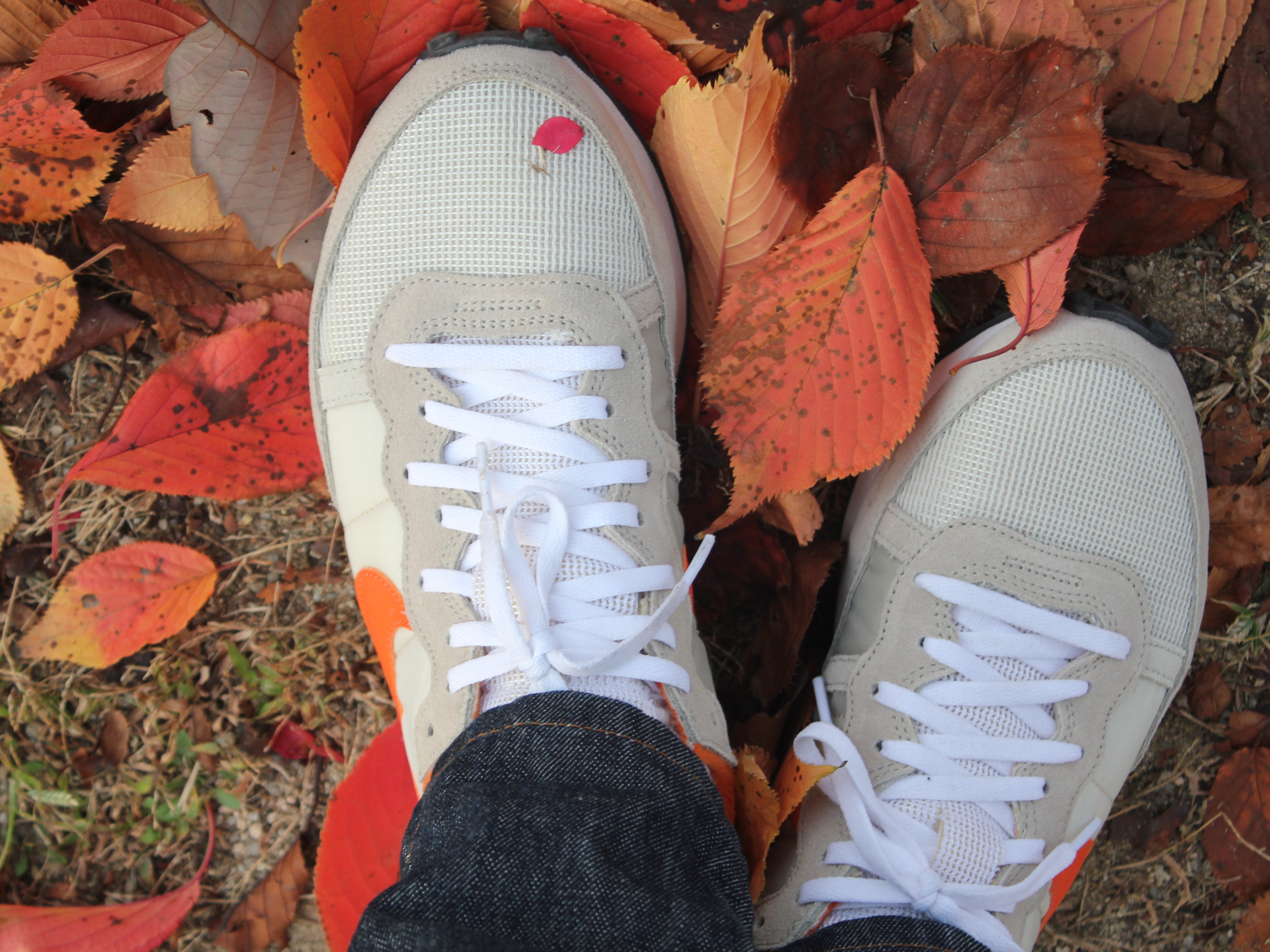 Nike Challenger OG Light Bone Starfish 착용 스타일 - 2